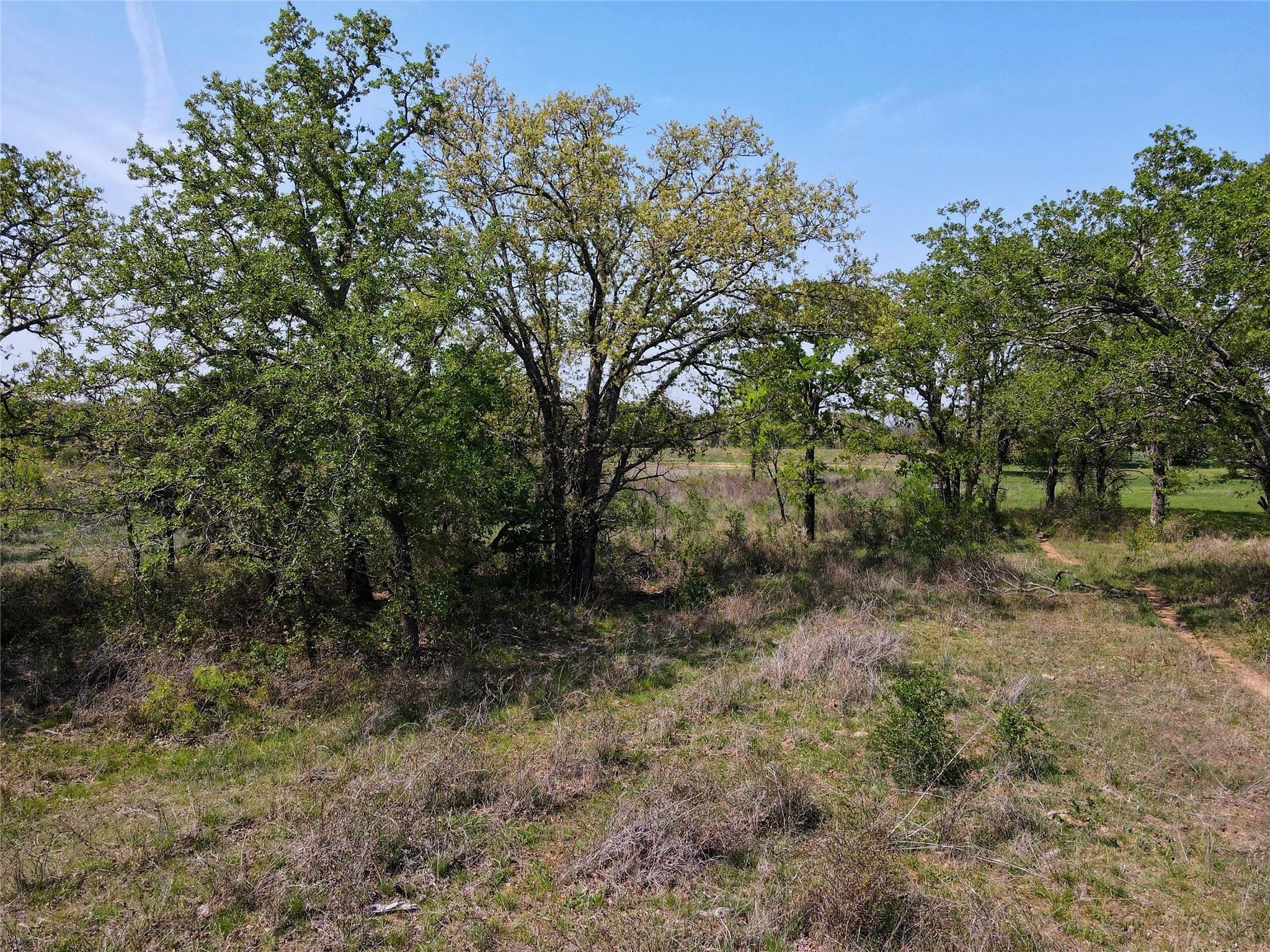 Lot 47 Paradise Oaks Ranch Perrin TX 76487