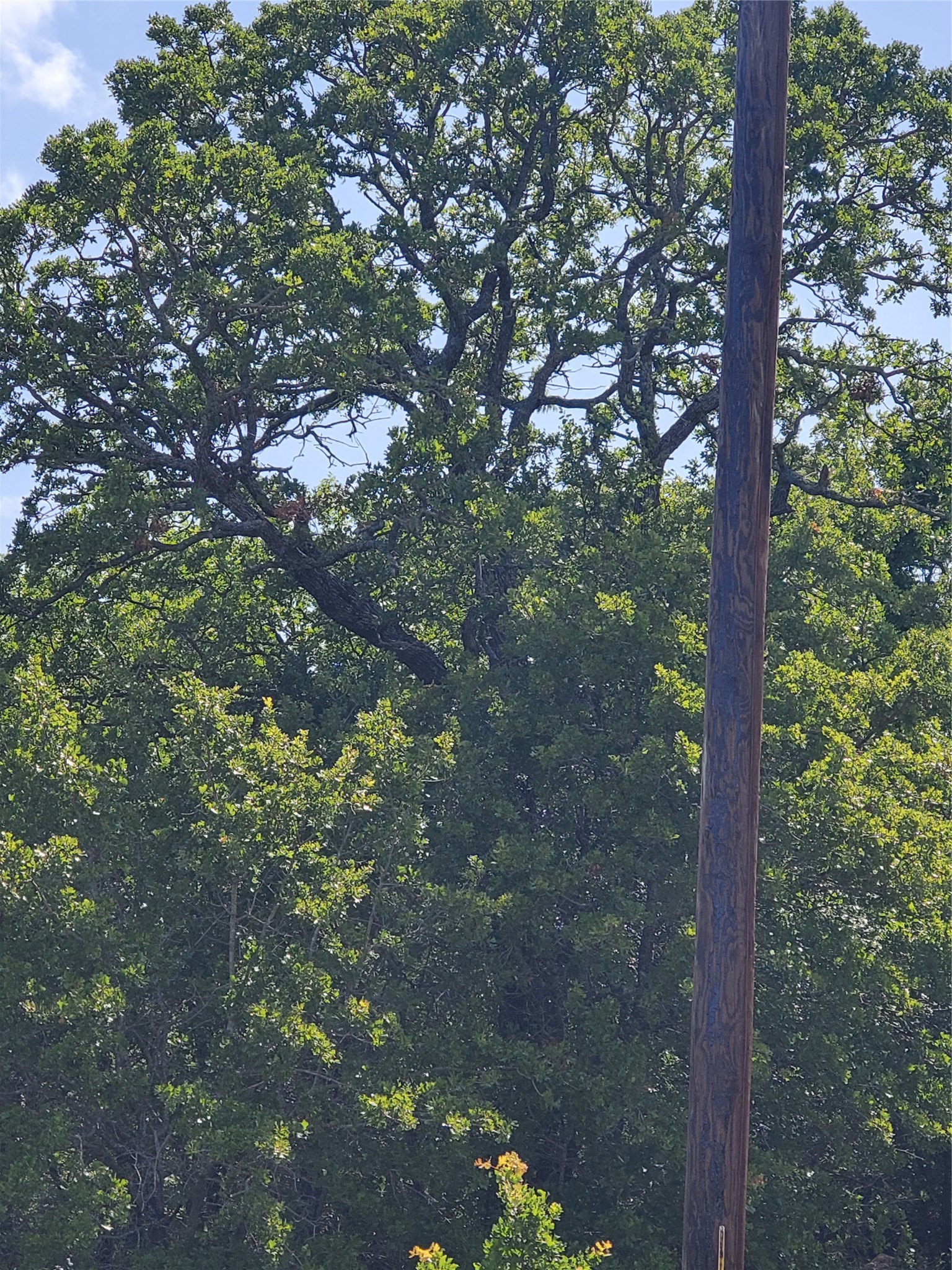Lot 649 Horizon Ridge Sunset TX 76270