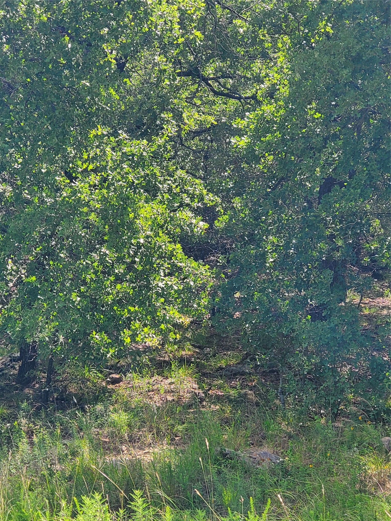Lot 649 Horizon Ridge Sunset TX 76270