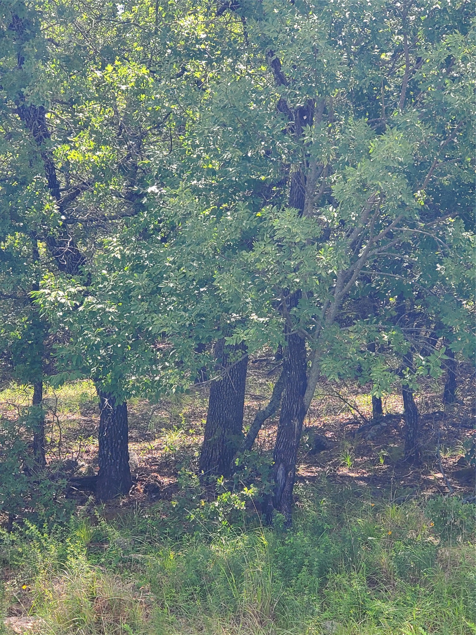 Lot 649 Horizon Ridge Sunset TX 76270