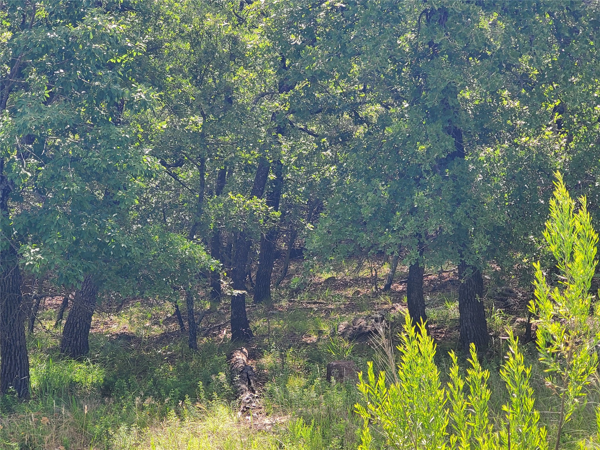 Lot 649 Horizon Ridge Sunset TX 76270