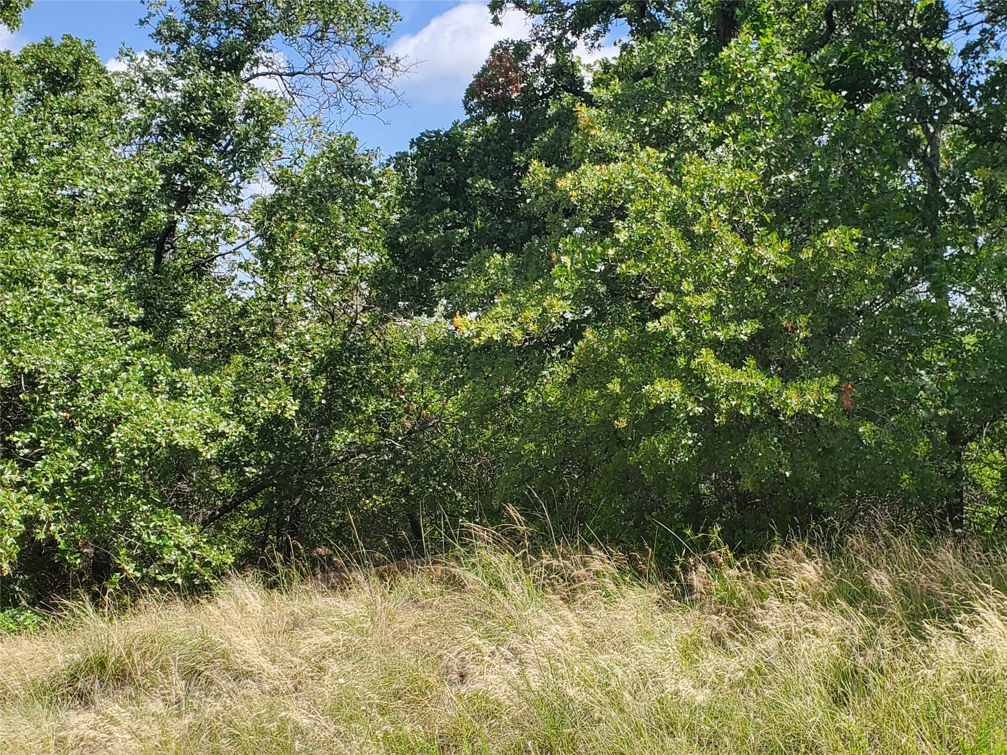 Lot 649 Horizon Ridge Sunset TX 76270