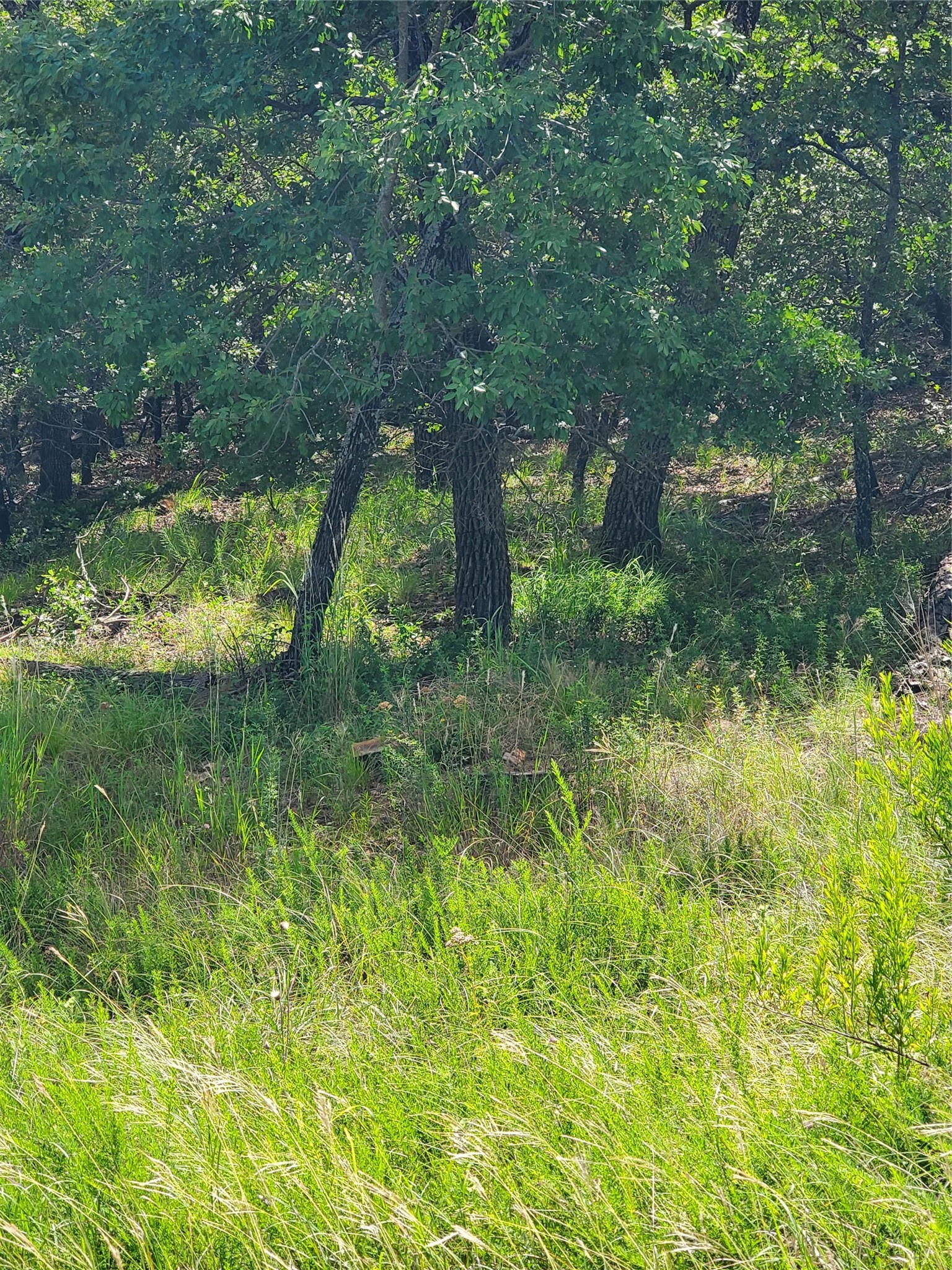 Lot 649 Horizon Ridge Sunset TX 76270