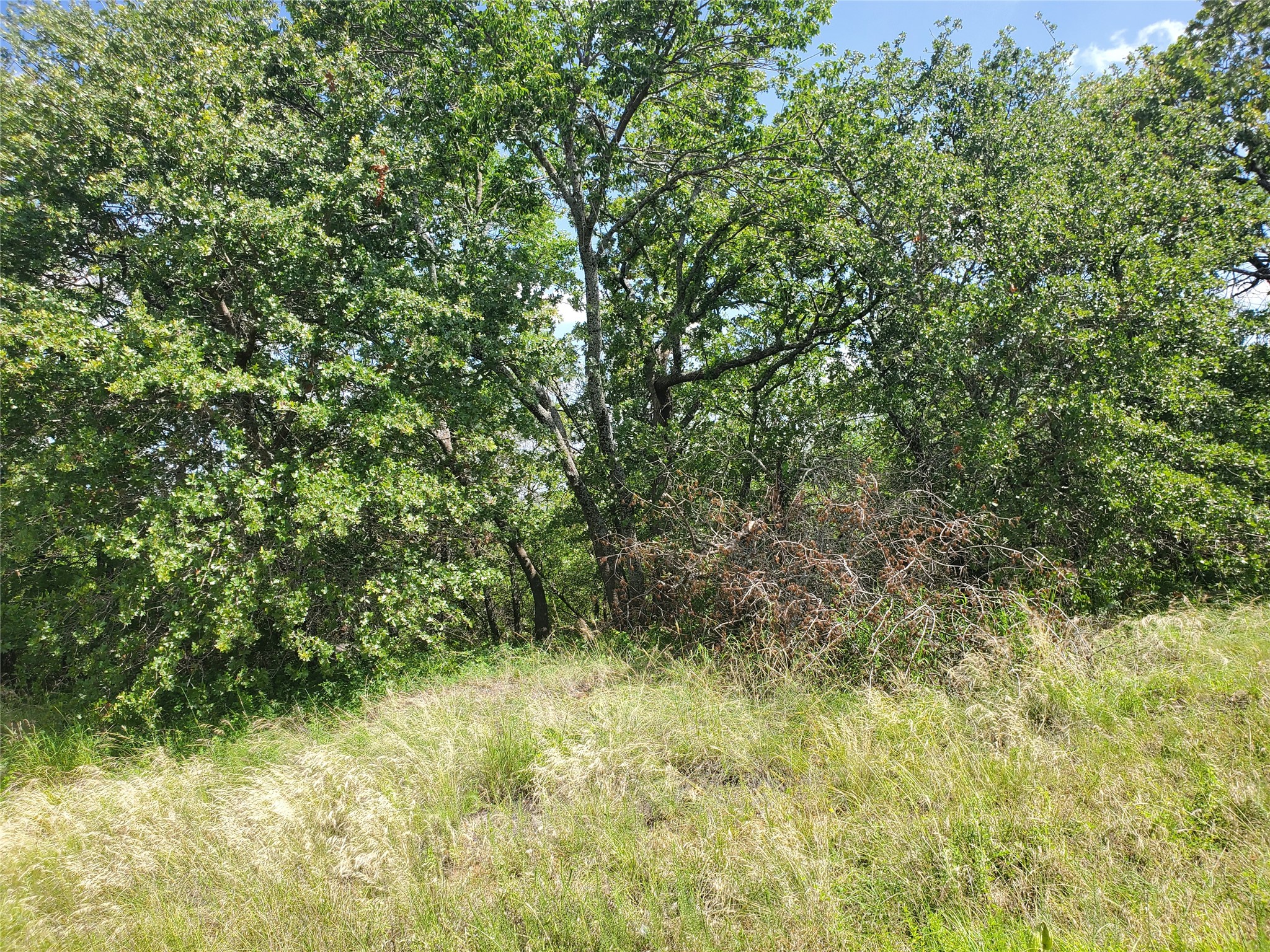 Lot 649 Horizon Ridge Sunset TX 76270