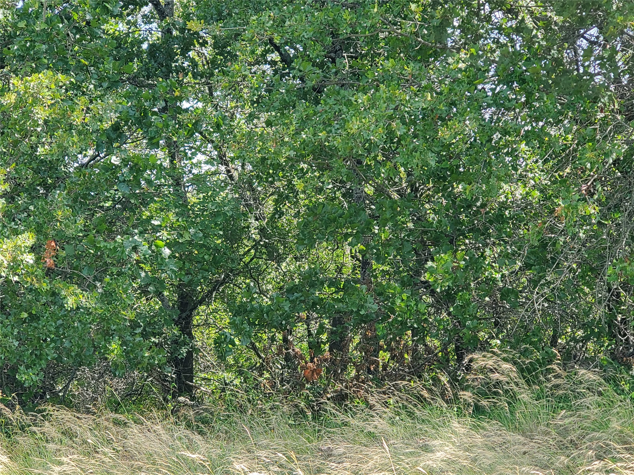 Lot 649 Horizon Ridge Sunset TX 76270