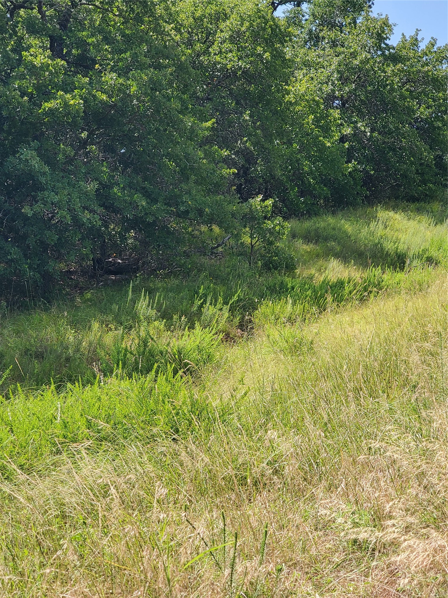 Lot 649 Horizon Ridge Sunset TX 76270