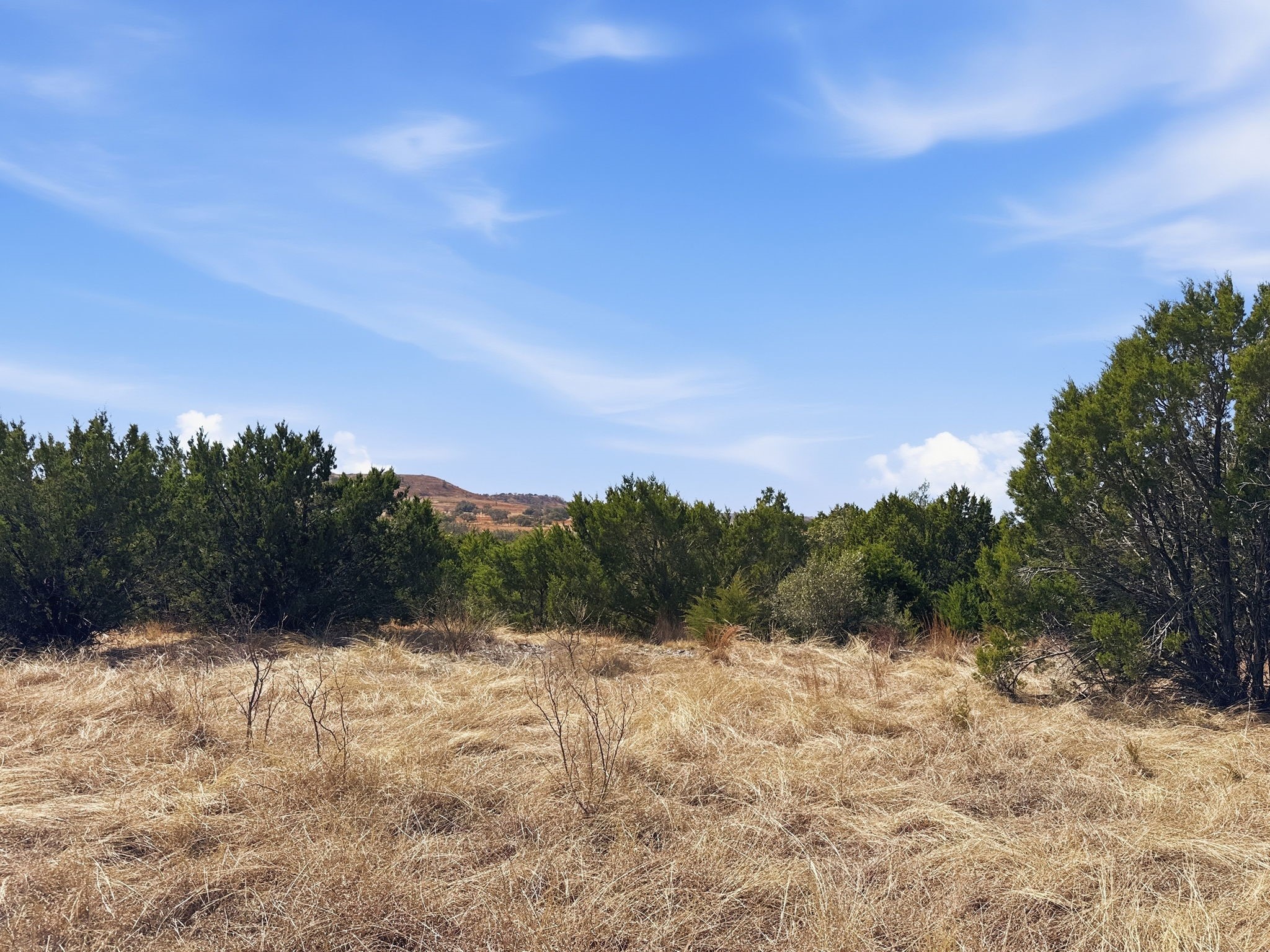 Lot 8 Ph 5 Flint Rock Court Road Evant TX 76525