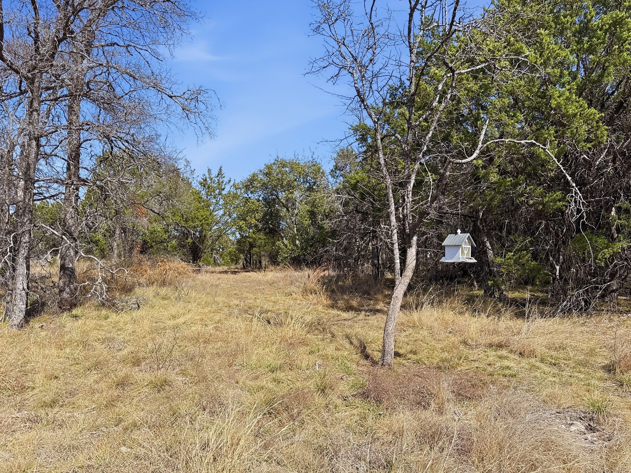 Lot 8 Ph 5 Flint Rock Court Road Evant TX 76525