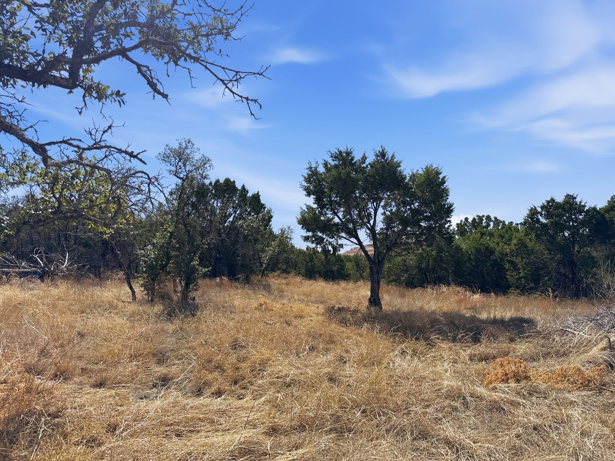 Lot 8 Ph 5 Flint Rock Court Road Evant TX 76525