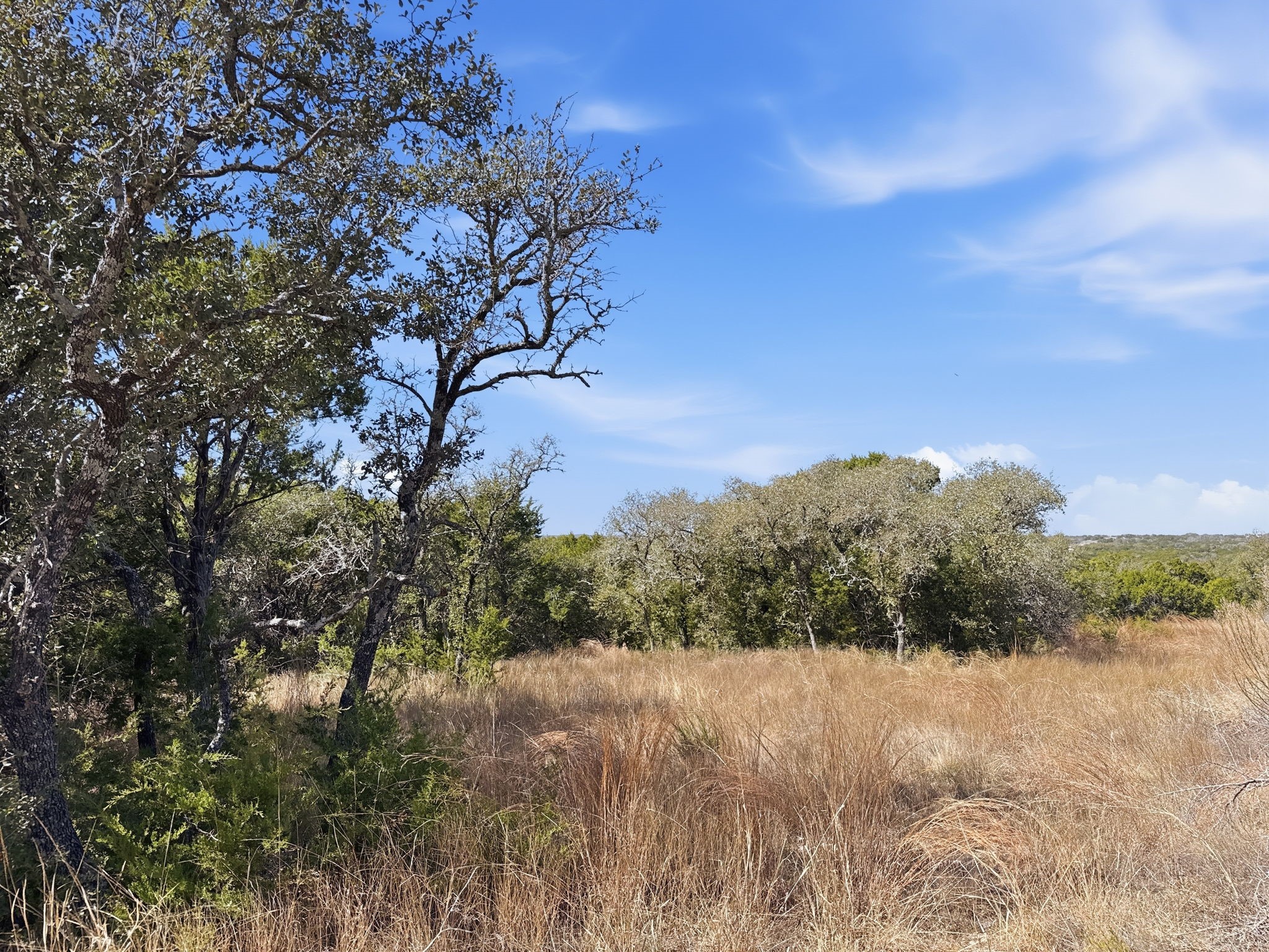 Lot 8 Ph 5 Flint Rock Court Road Evant TX 76525