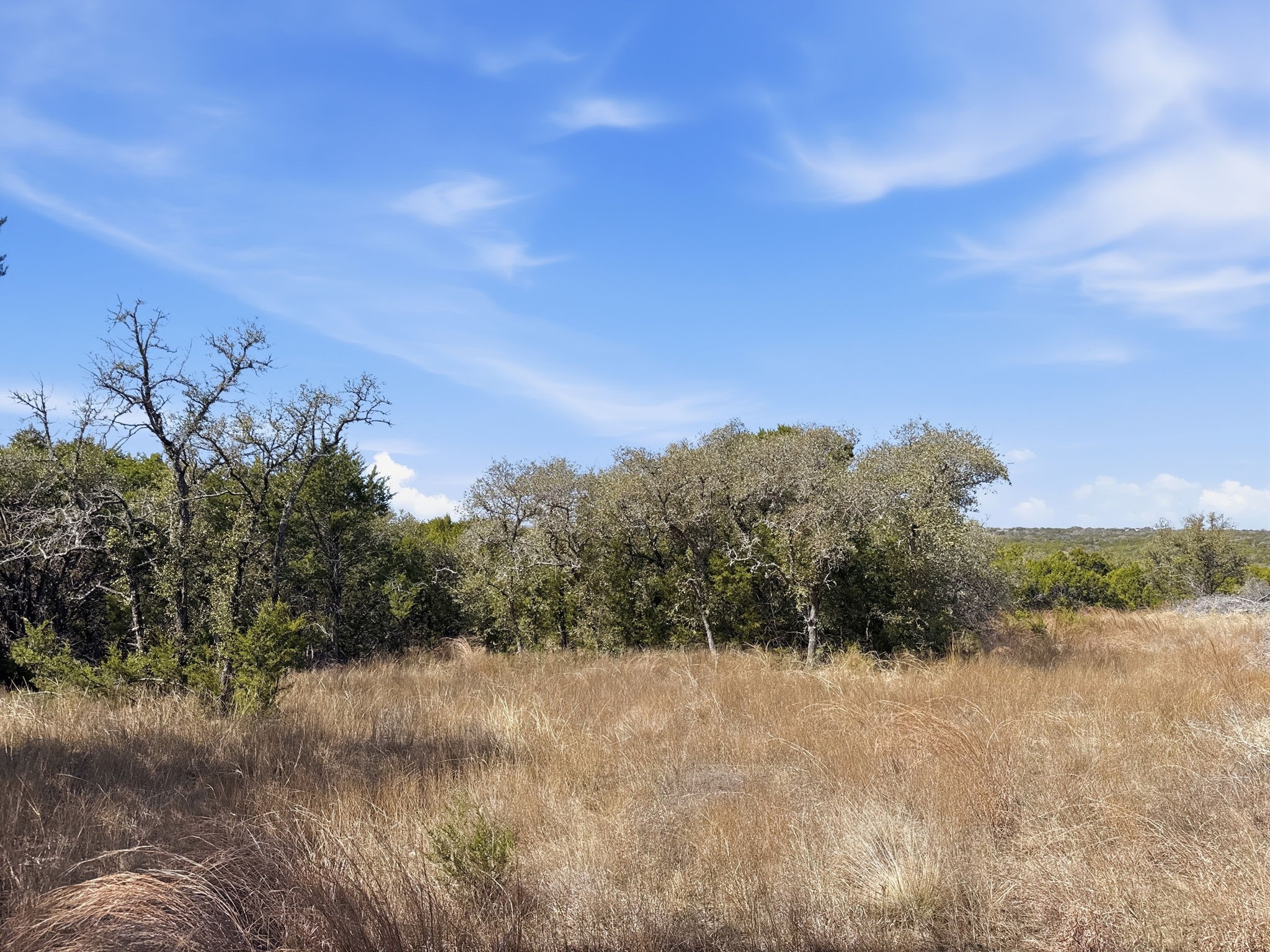 Lot 8 Ph 5 Flint Rock Court Road Evant TX 76525