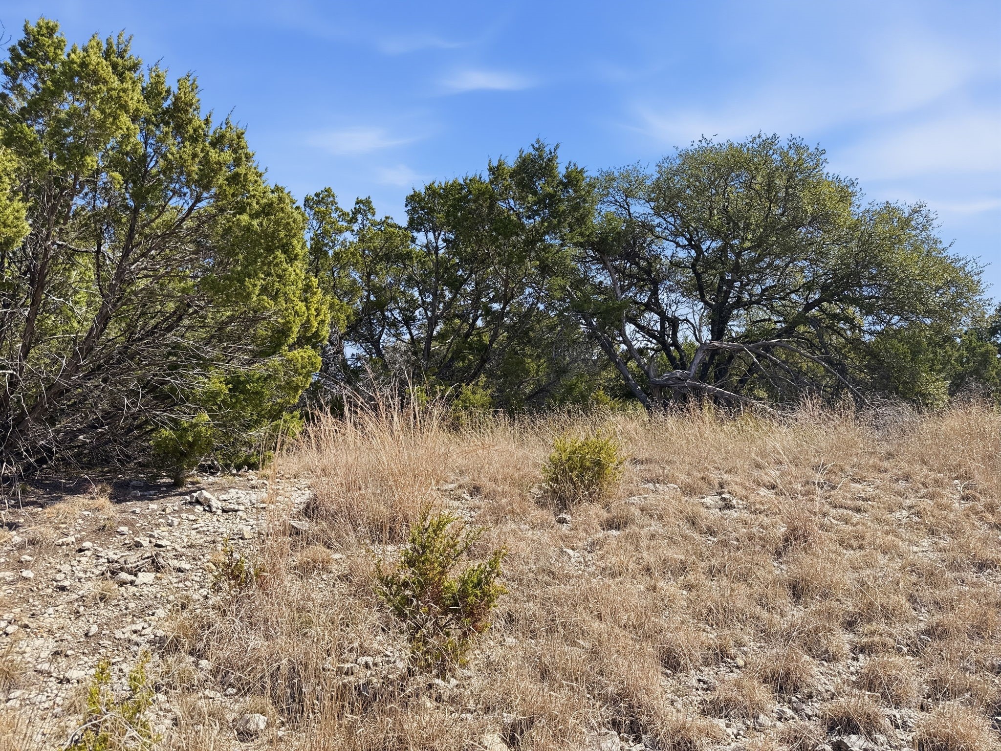 Lot 8 Ph 5 Flint Rock Court Road Evant TX 76525
