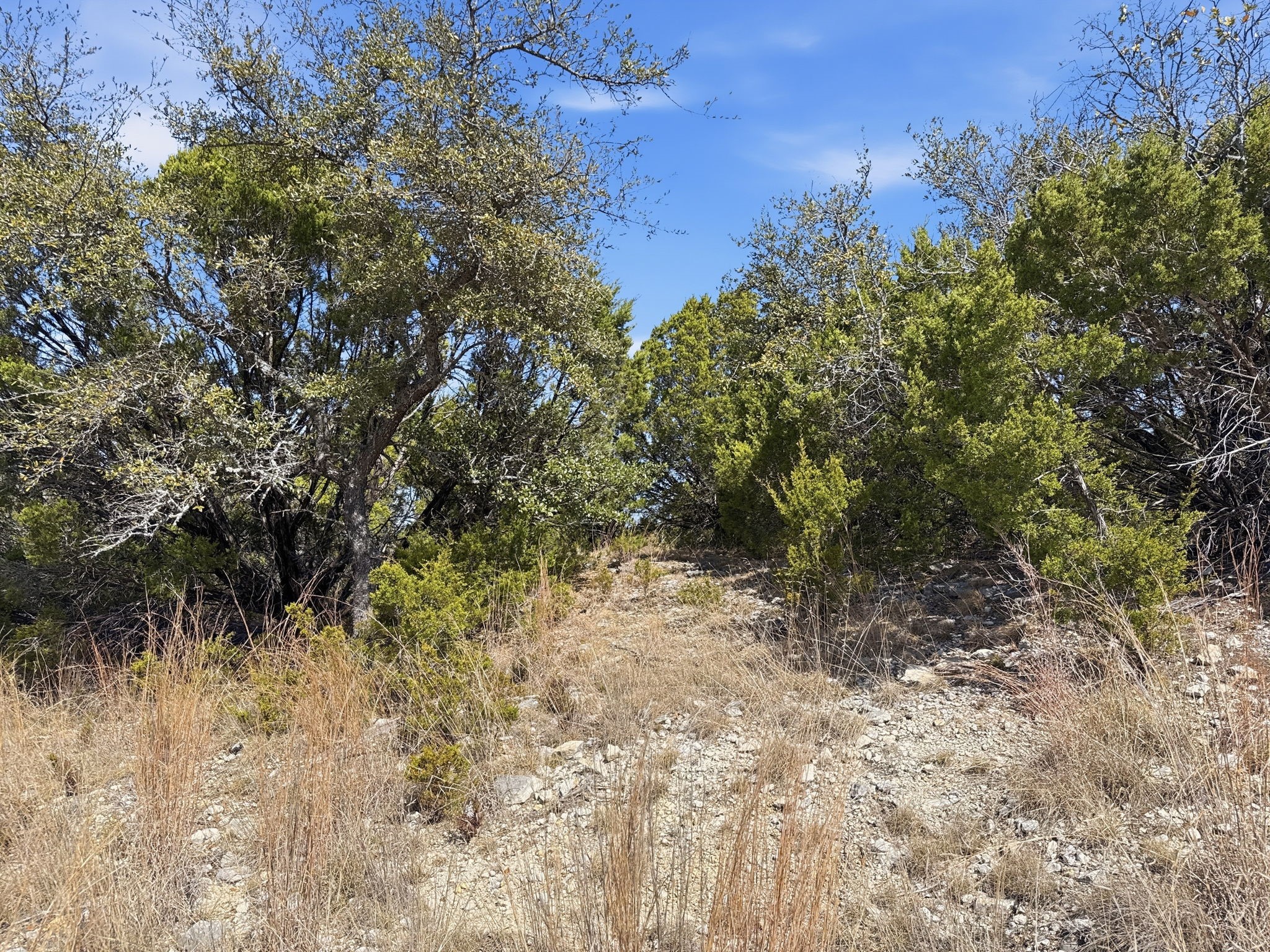 Lot 8 Ph 5 Flint Rock Court Road Evant TX 76525