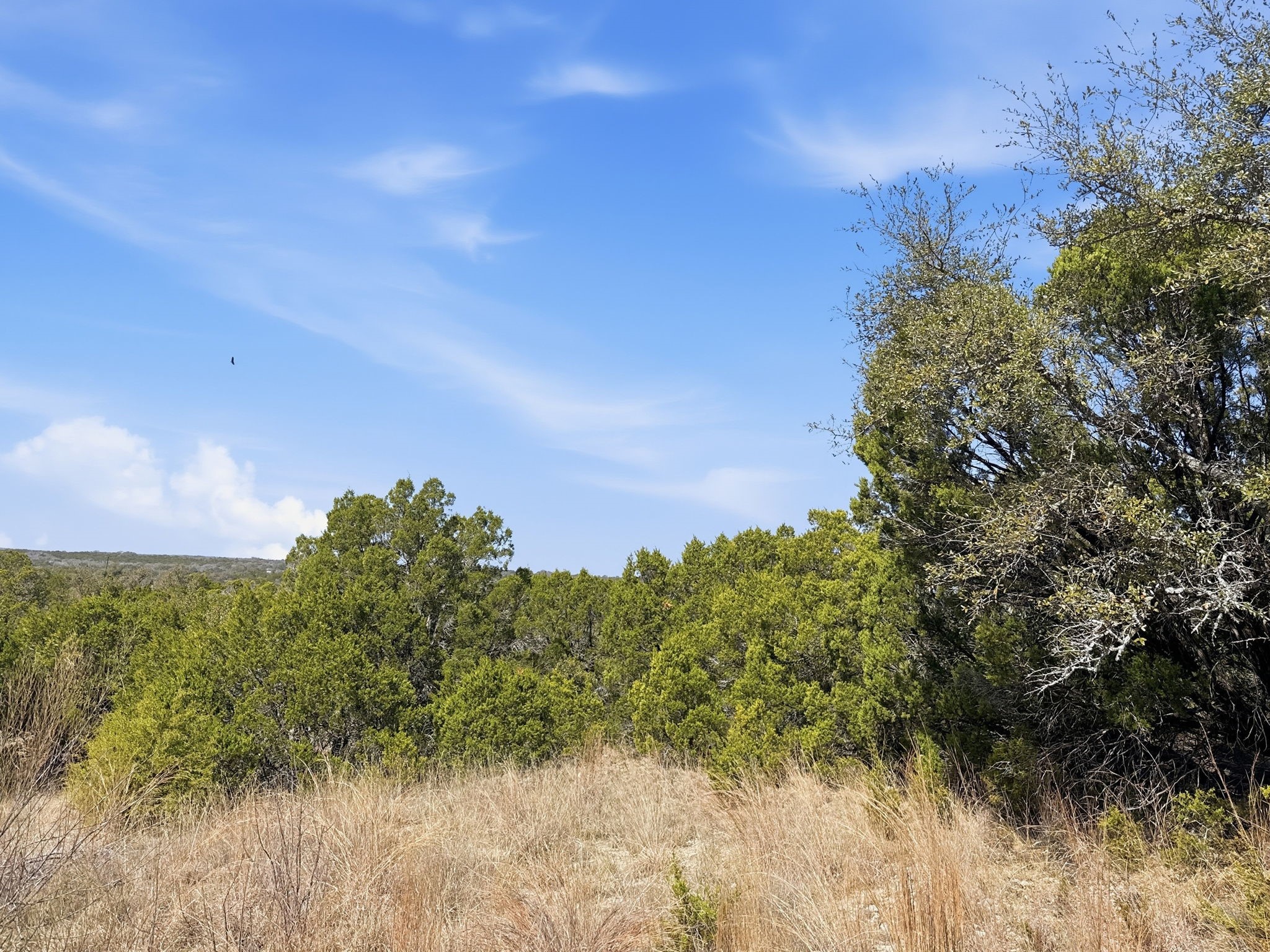 Lot 8 Ph 5 Flint Rock Court Road Evant TX 76525
