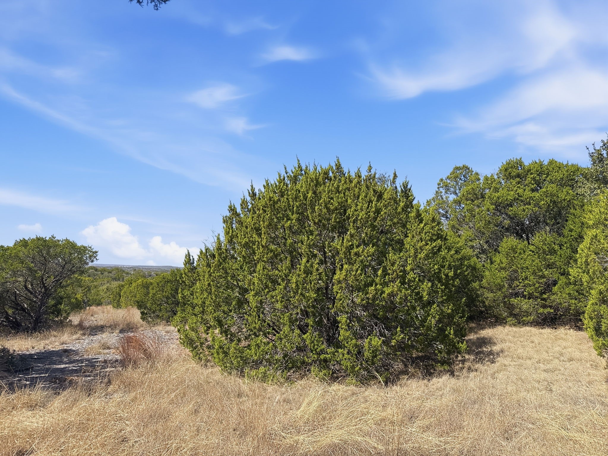 Lot 8 Ph 5 Flint Rock Court Road Evant TX 76525