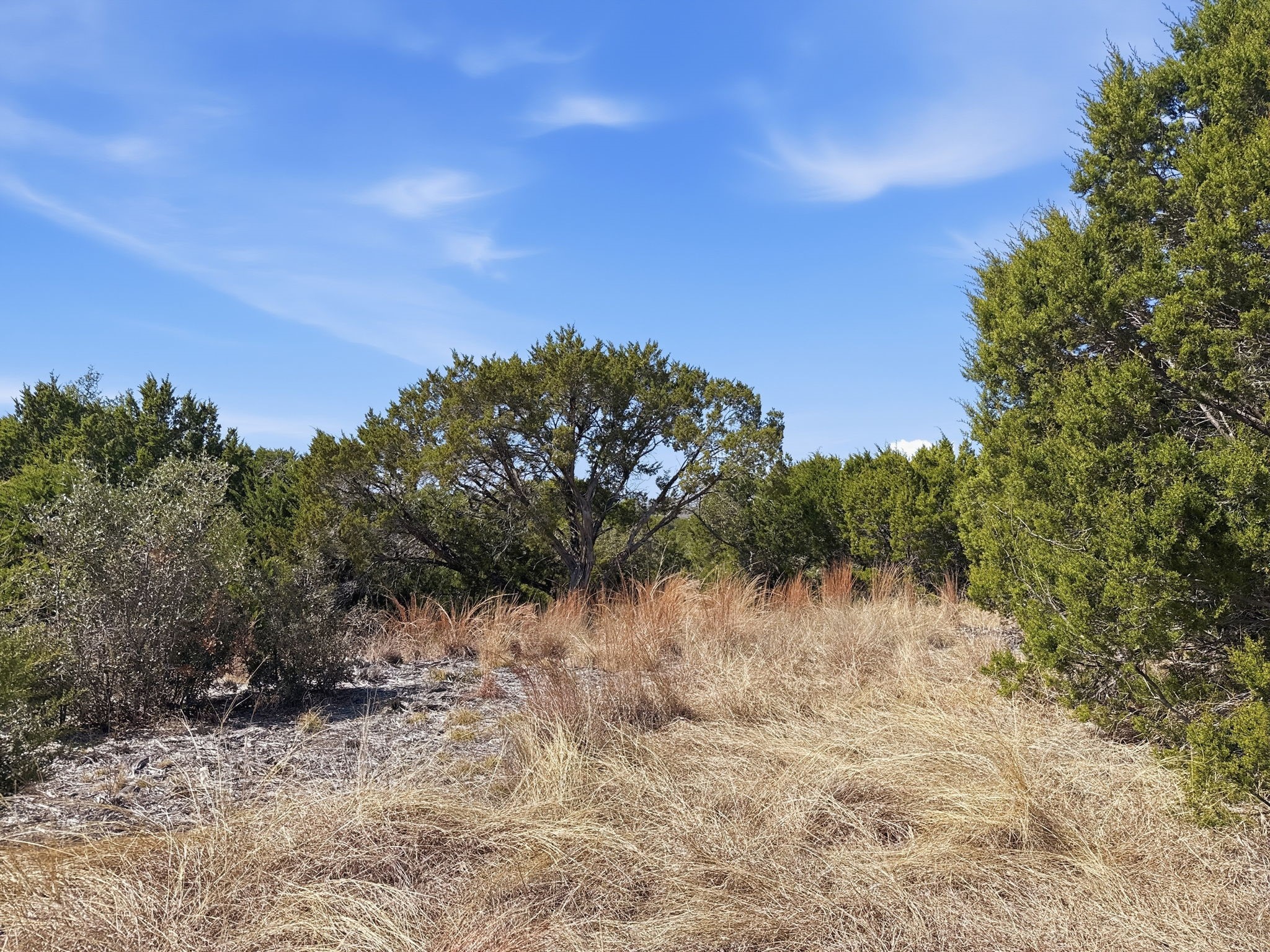 Lot 8 Ph 5 Flint Rock Court Road Evant TX 76525