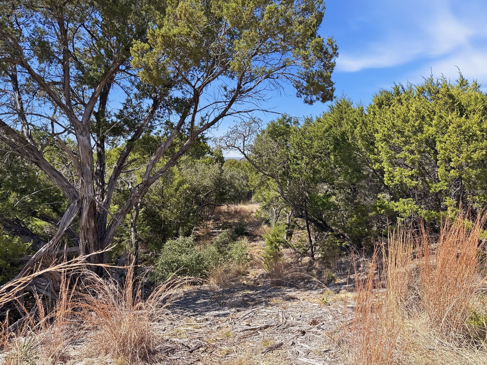 Lot 8 Ph 5 Flint Rock Court Road Evant TX 76525