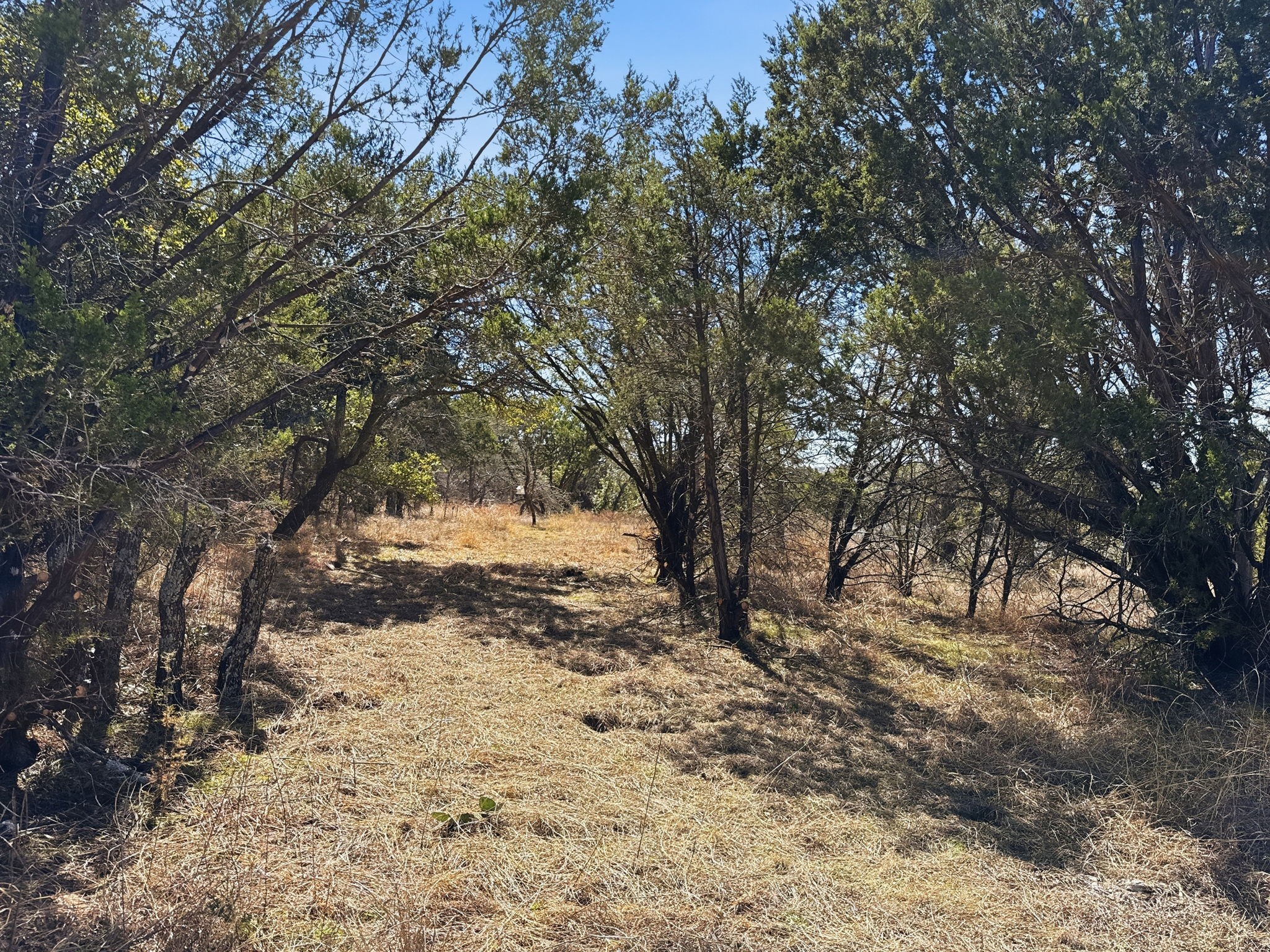Lot 8 Ph 5 Flint Rock Court Road Evant TX 76525