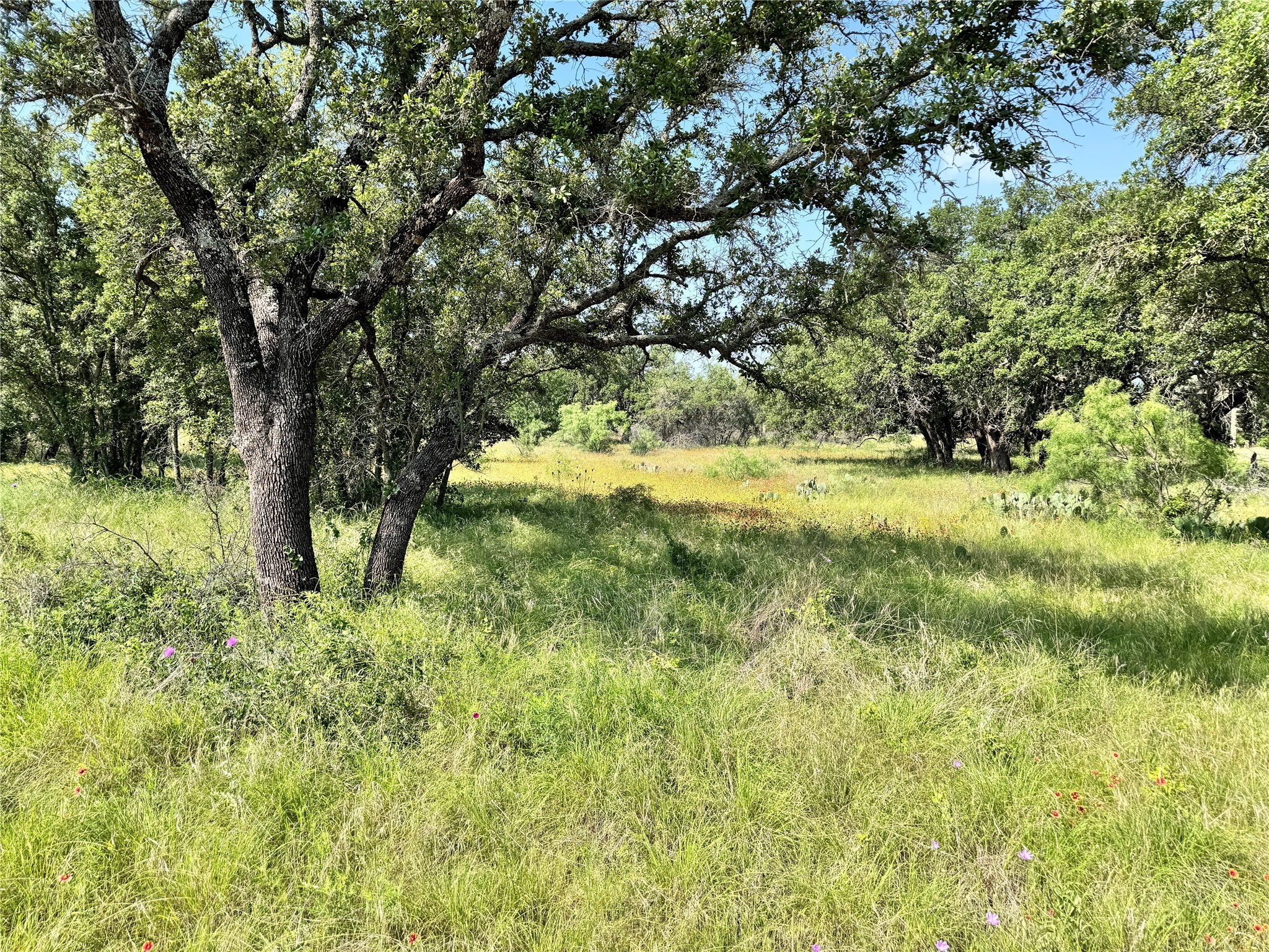 Tbd Lot 667 Lanyard Way Brownwood TX 76801