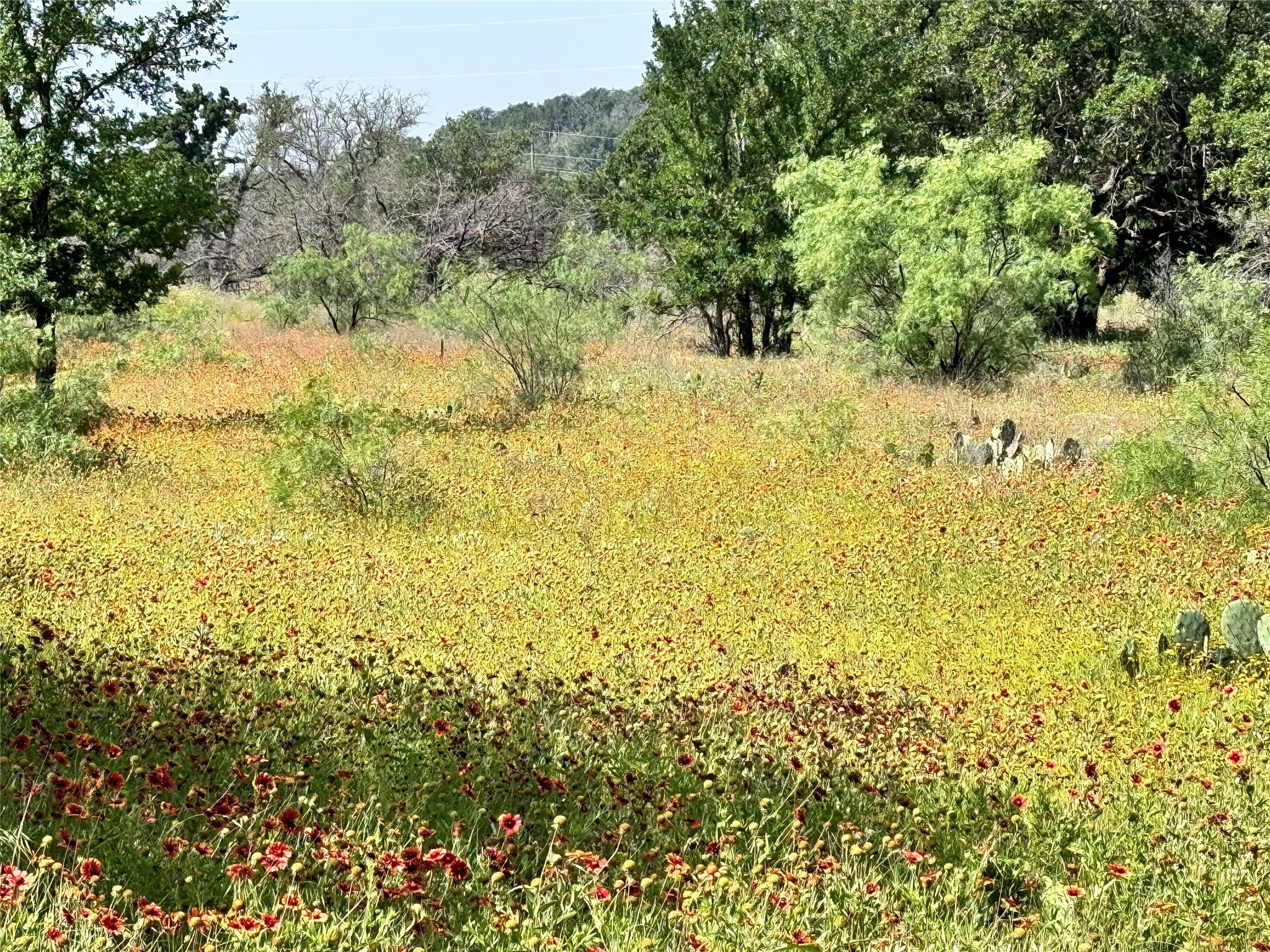 Tbd Lot 667 Lanyard Way Brownwood TX 76801