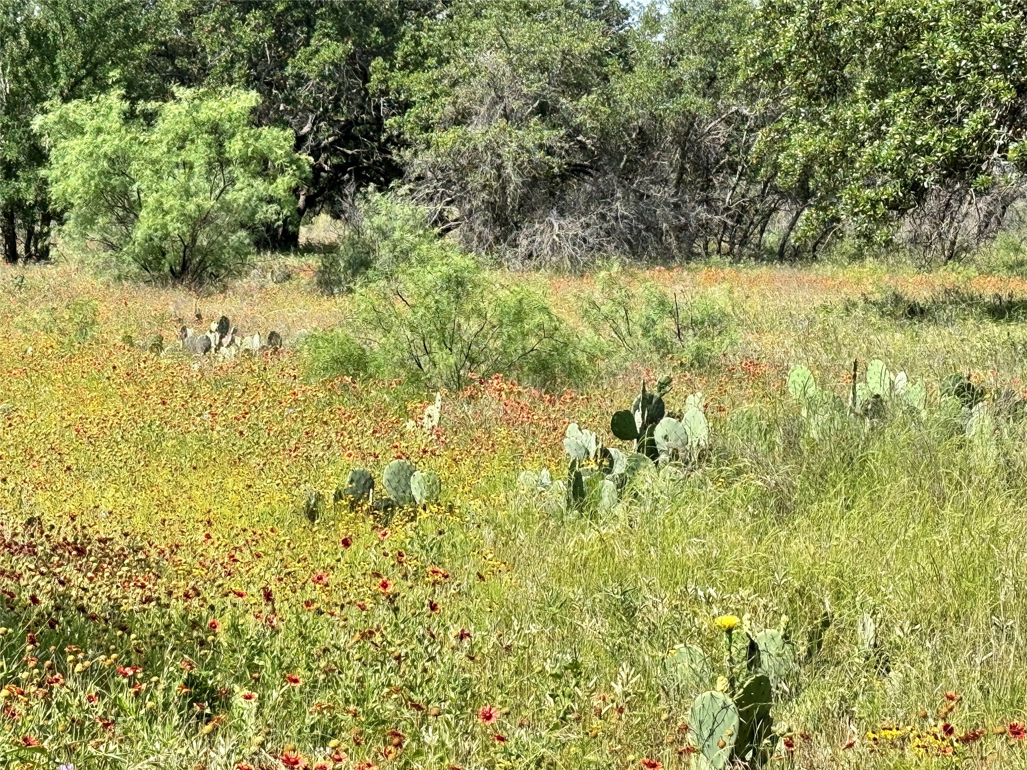 Tbd Lot 667 Lanyard Way Brownwood TX 76801