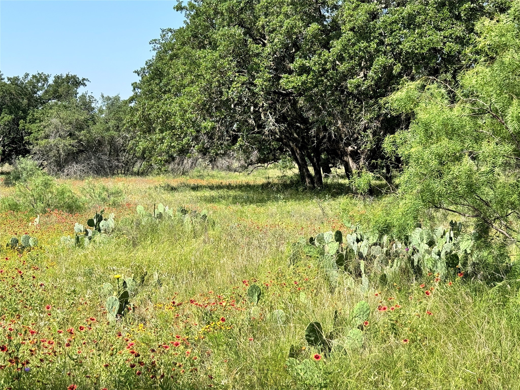 Tbd Lot 667 Lanyard Way Brownwood TX 76801