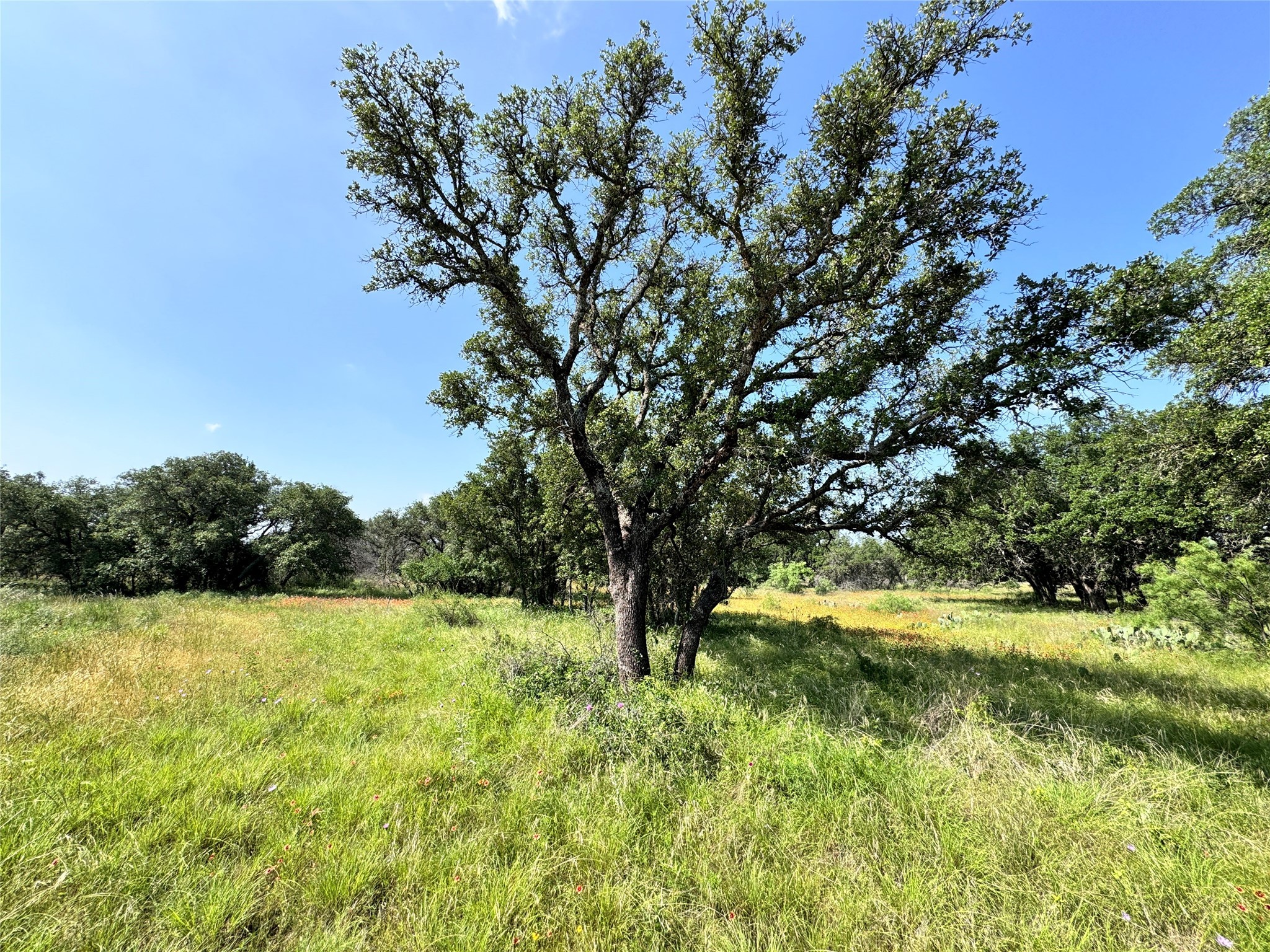 Tbd Lot 667 Lanyard Way Brownwood TX 76801
