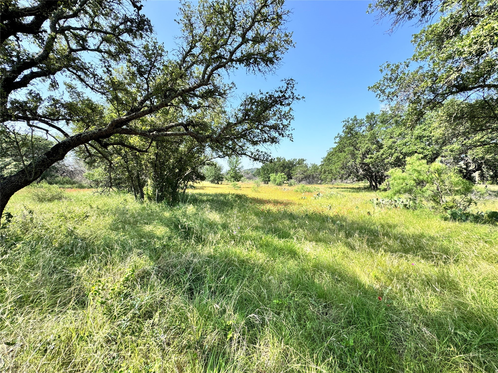 Tbd Lot 667 Lanyard Way Brownwood TX 76801