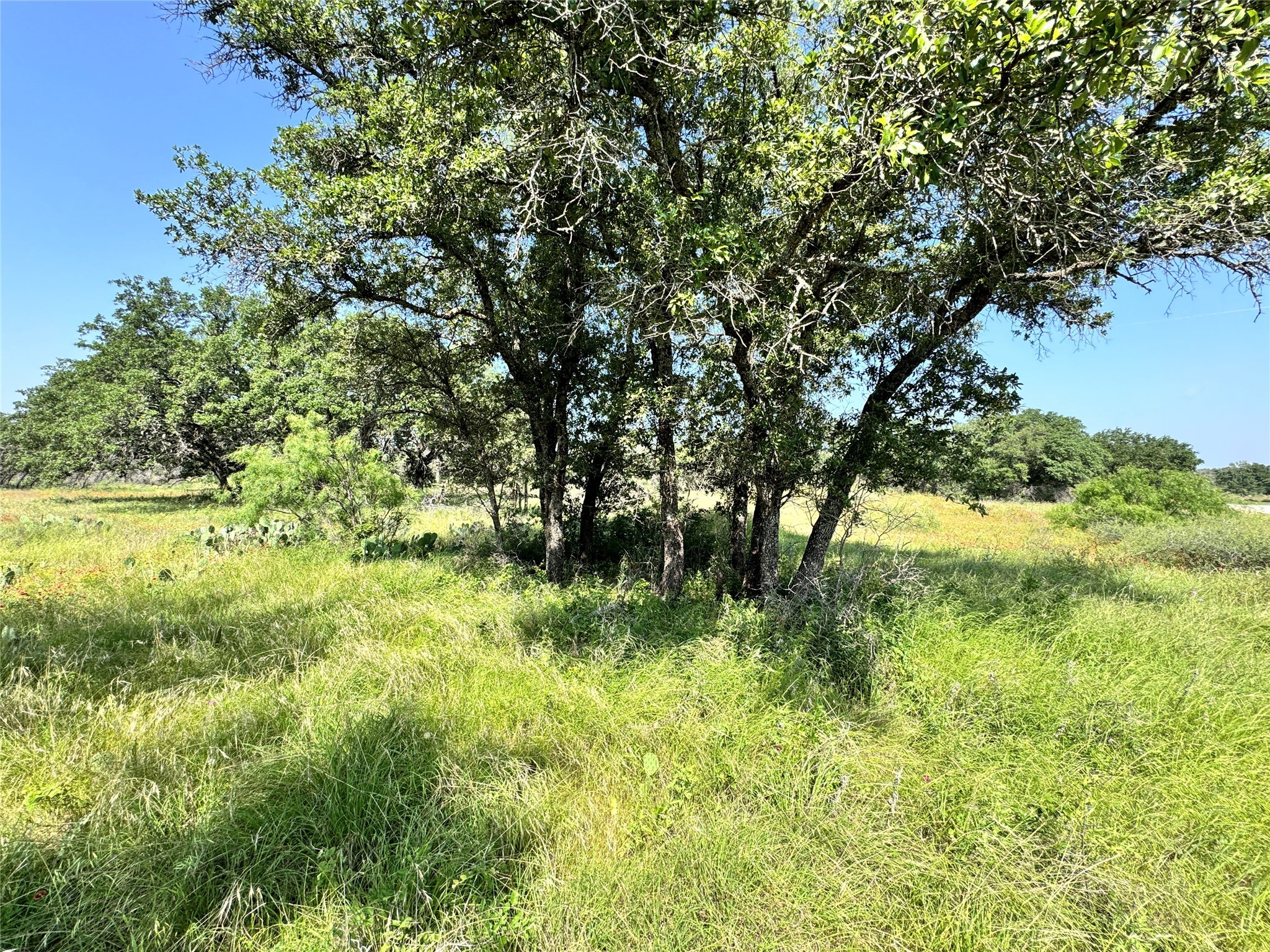 Tbd Lot 667 Lanyard Way Brownwood TX 76801