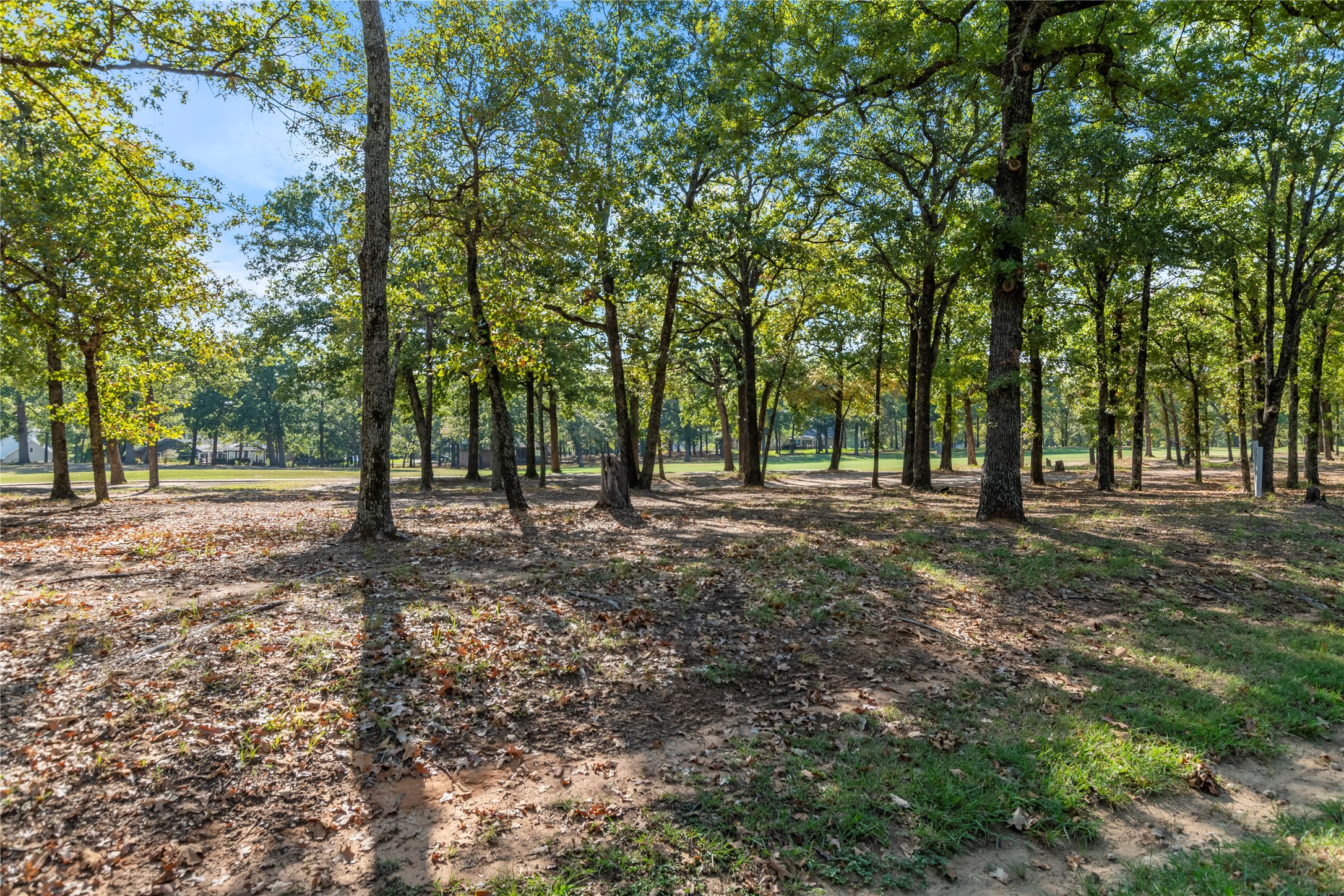 221 Colonial Drive Mabank TX 75156