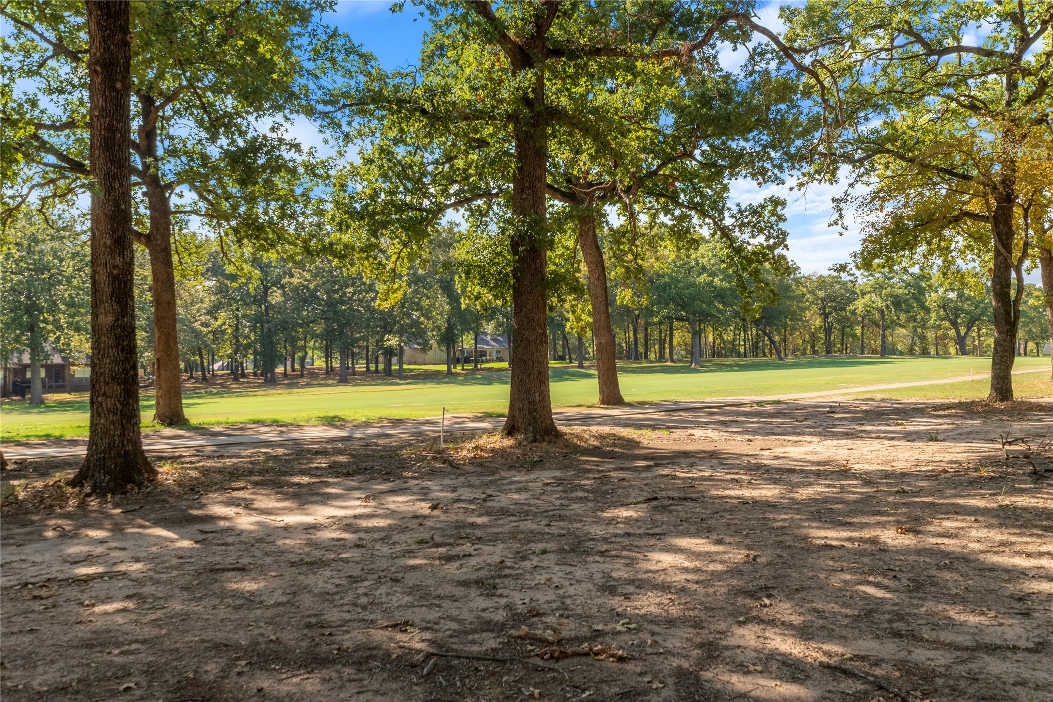 221 Colonial Drive Mabank TX 75156