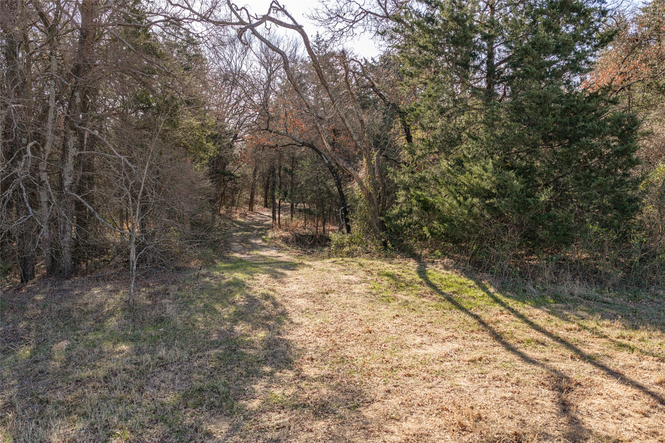 0000 Fm 3496 Gainesville TX 76240