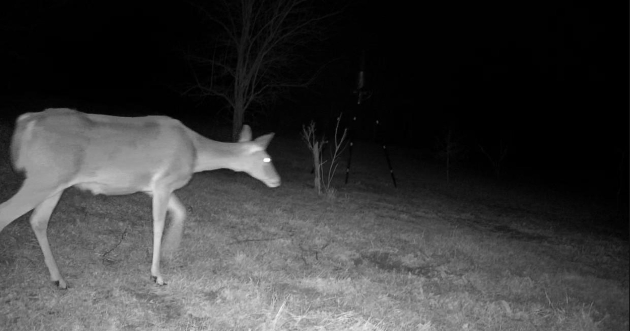 0000 County Road 2610 Bonham TX 75418