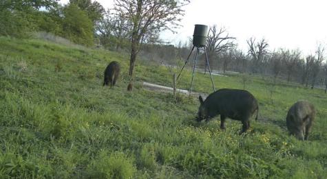 0000 County Road 2610 Bonham TX 75418