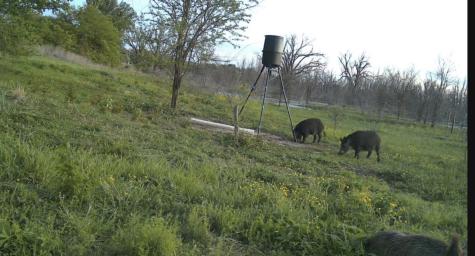 0000 County Road 2610 Bonham TX 75418