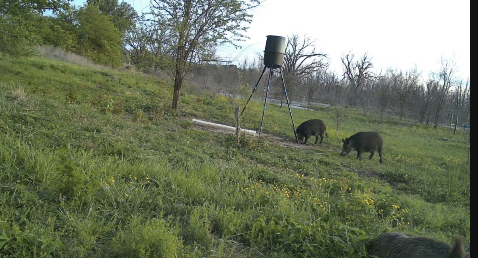 0000 County Road 2610 Bonham TX 75418