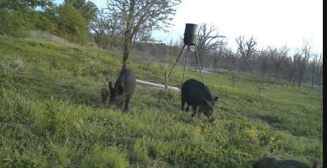 0000 County Road 2610 Bonham TX 75418