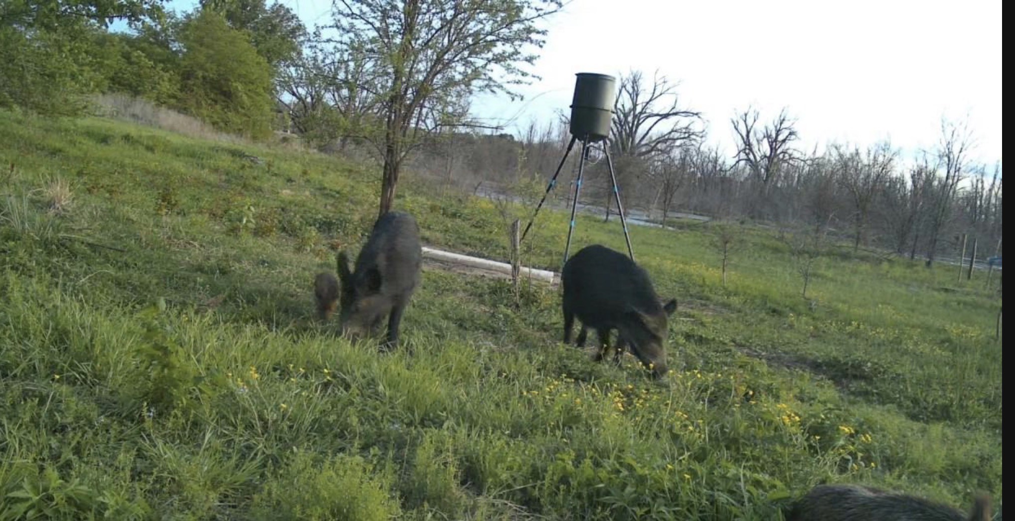 0000 County Road 2610 Bonham TX 75418