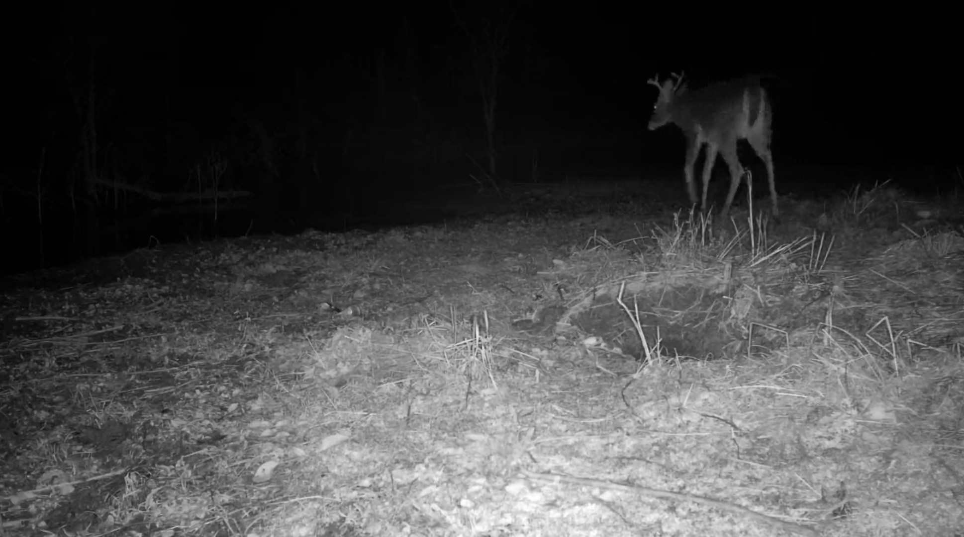 0000 County Road 2610 Bonham TX 75418