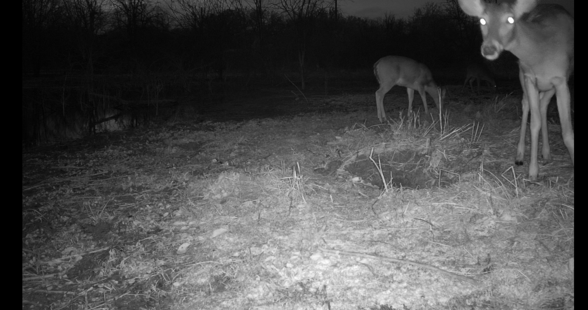 0000 County Road 2610 Bonham TX 75418