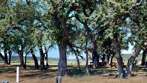 1759 Canyon Wren Loop Graford TX 76449