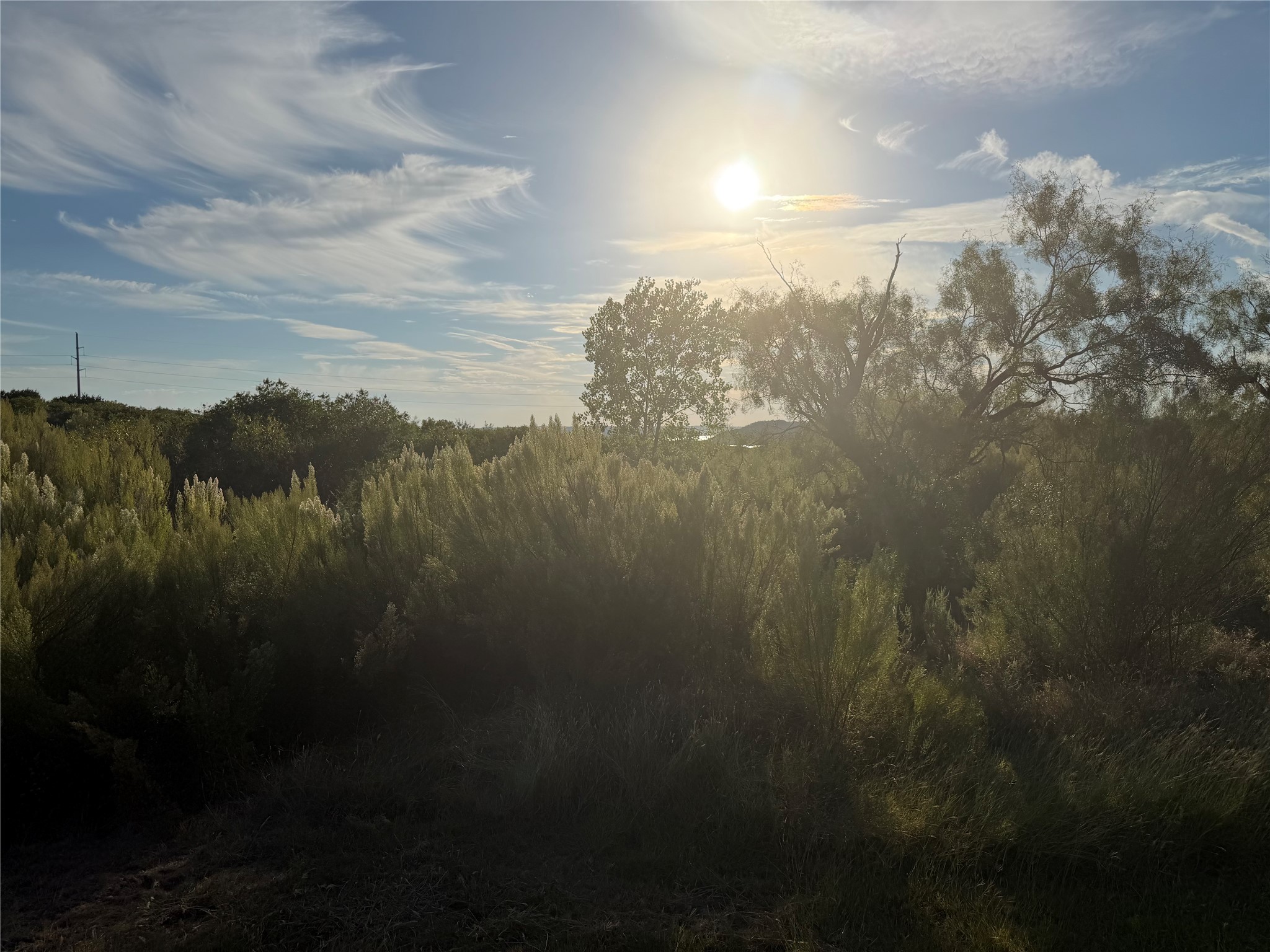 1759 Canyon Wren Loop Graford TX 76449