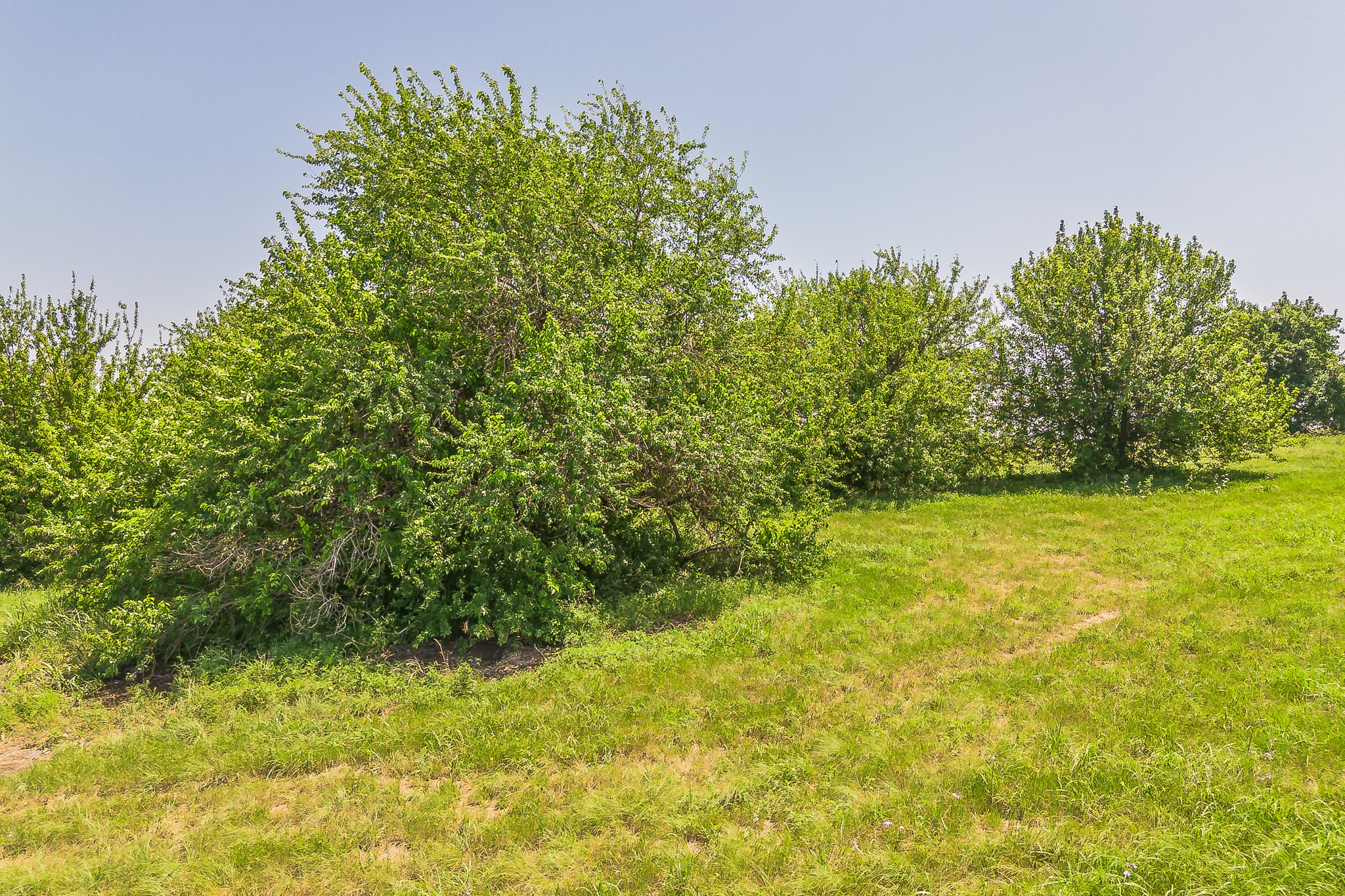 368 Private Road 4443 Rhome TX 76078