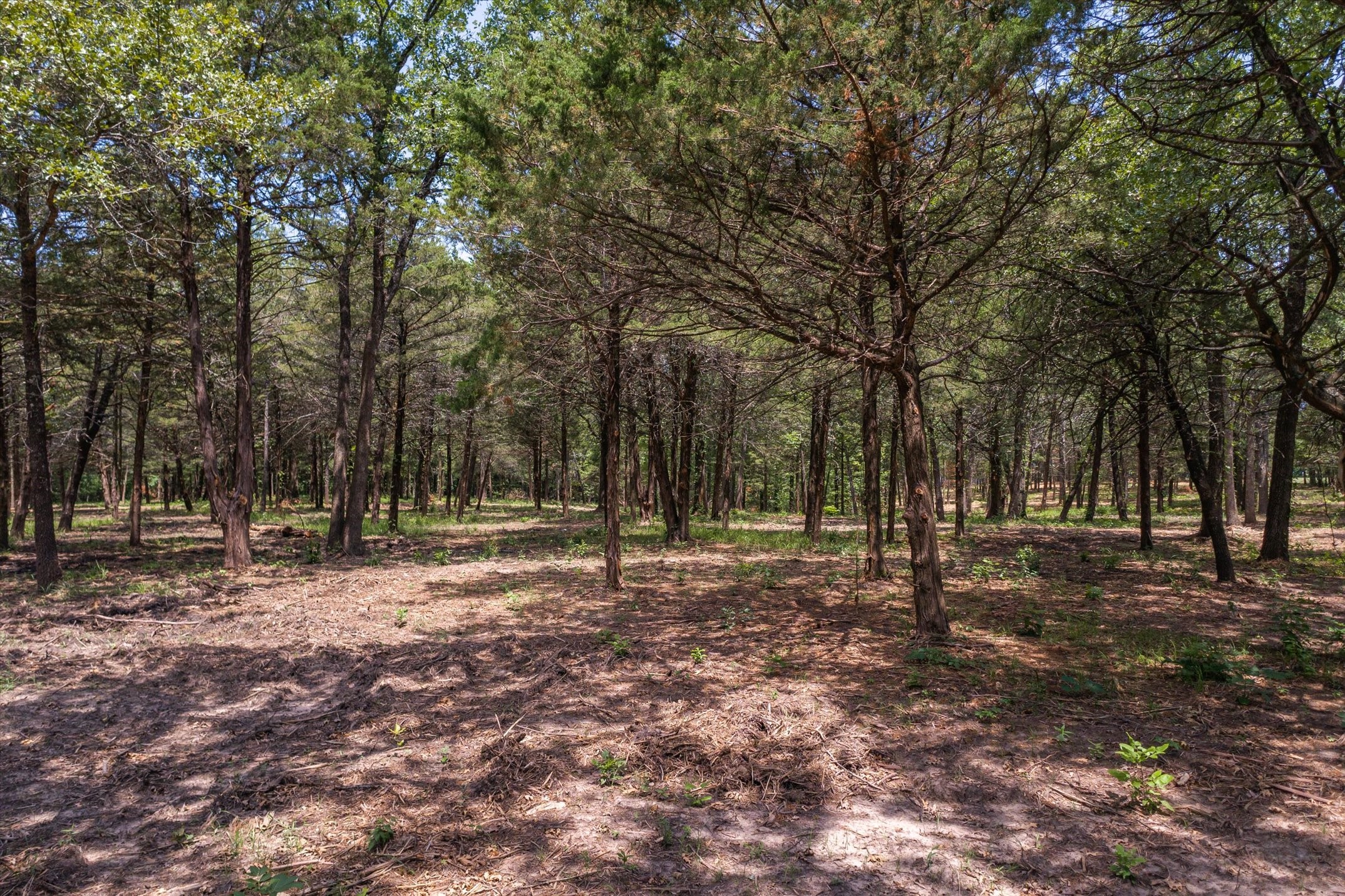 4423 County Road 3706 Wills Point TX 75169