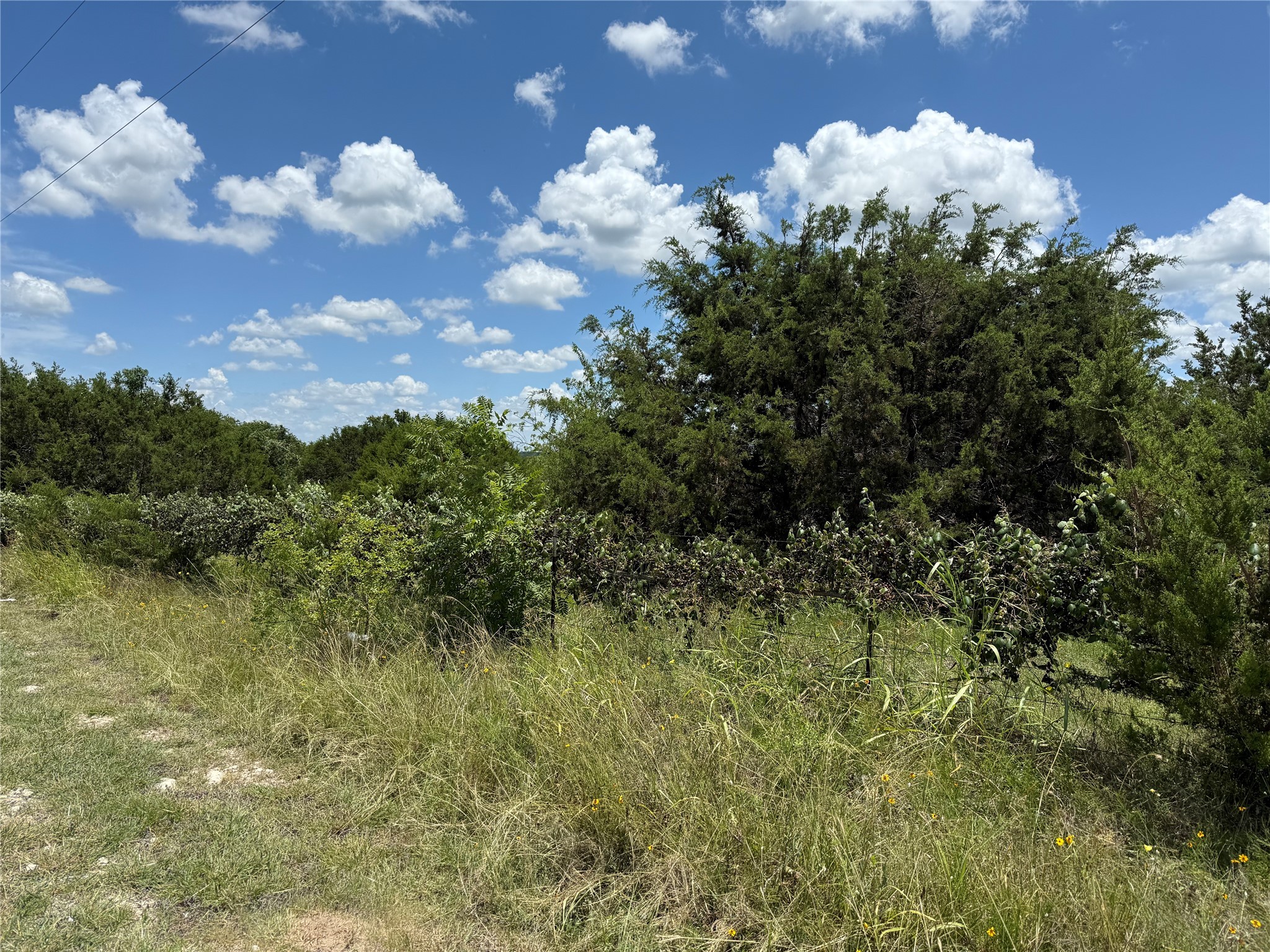 Tbd Private Road 1743b Clifton TX 76634