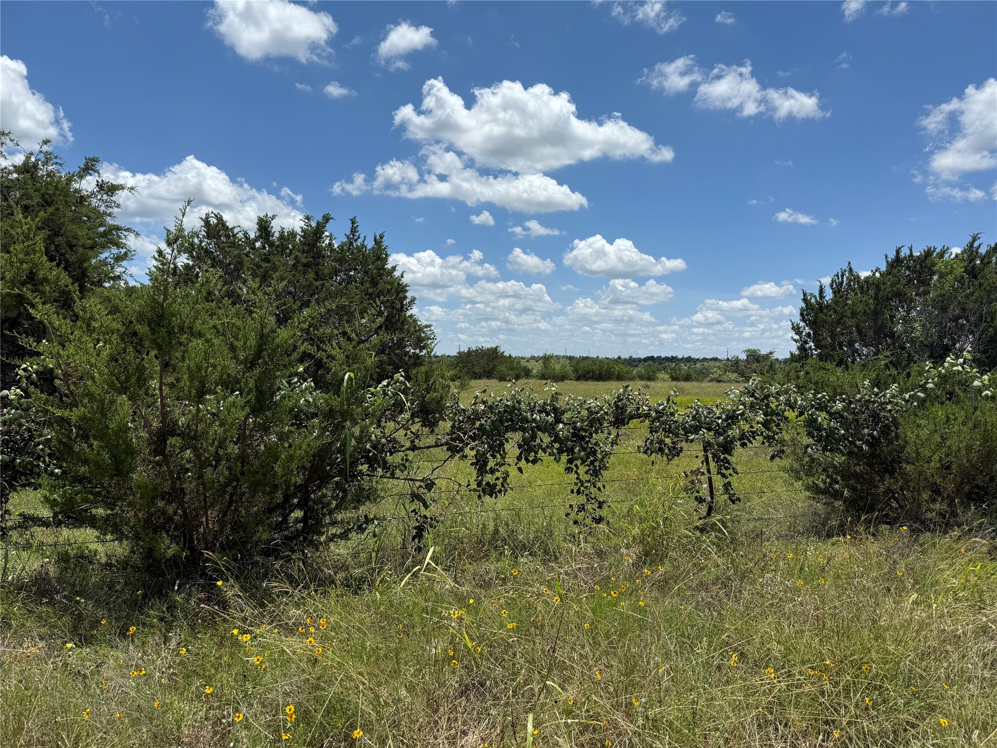 Tbd Private Road 1743b Clifton TX 76634
