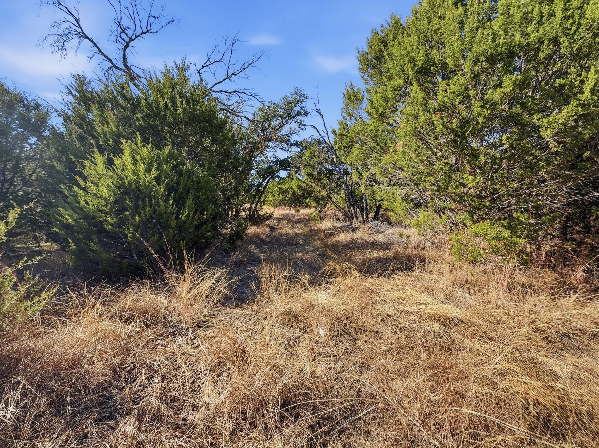 Tbd Cr 424 Hamilton TX 76531