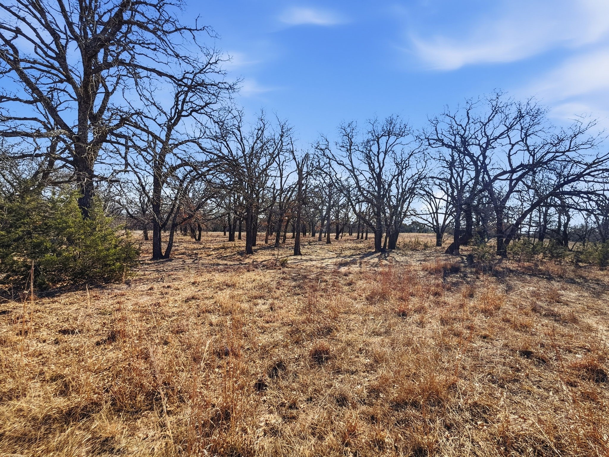 Tbd Cr 424 Hamilton TX 76531