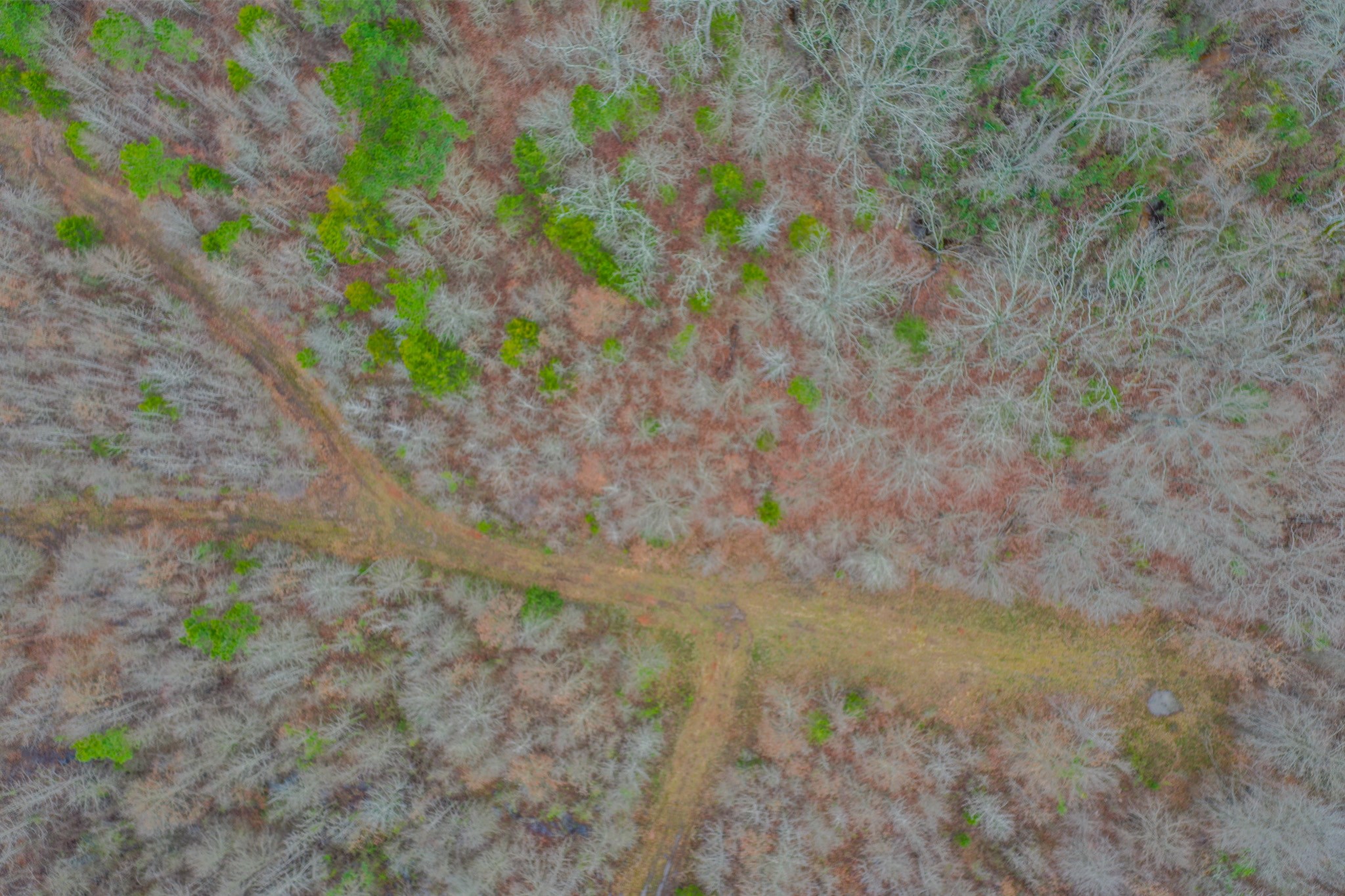 Tbd Mistletoe Road Gilmer TX 75644