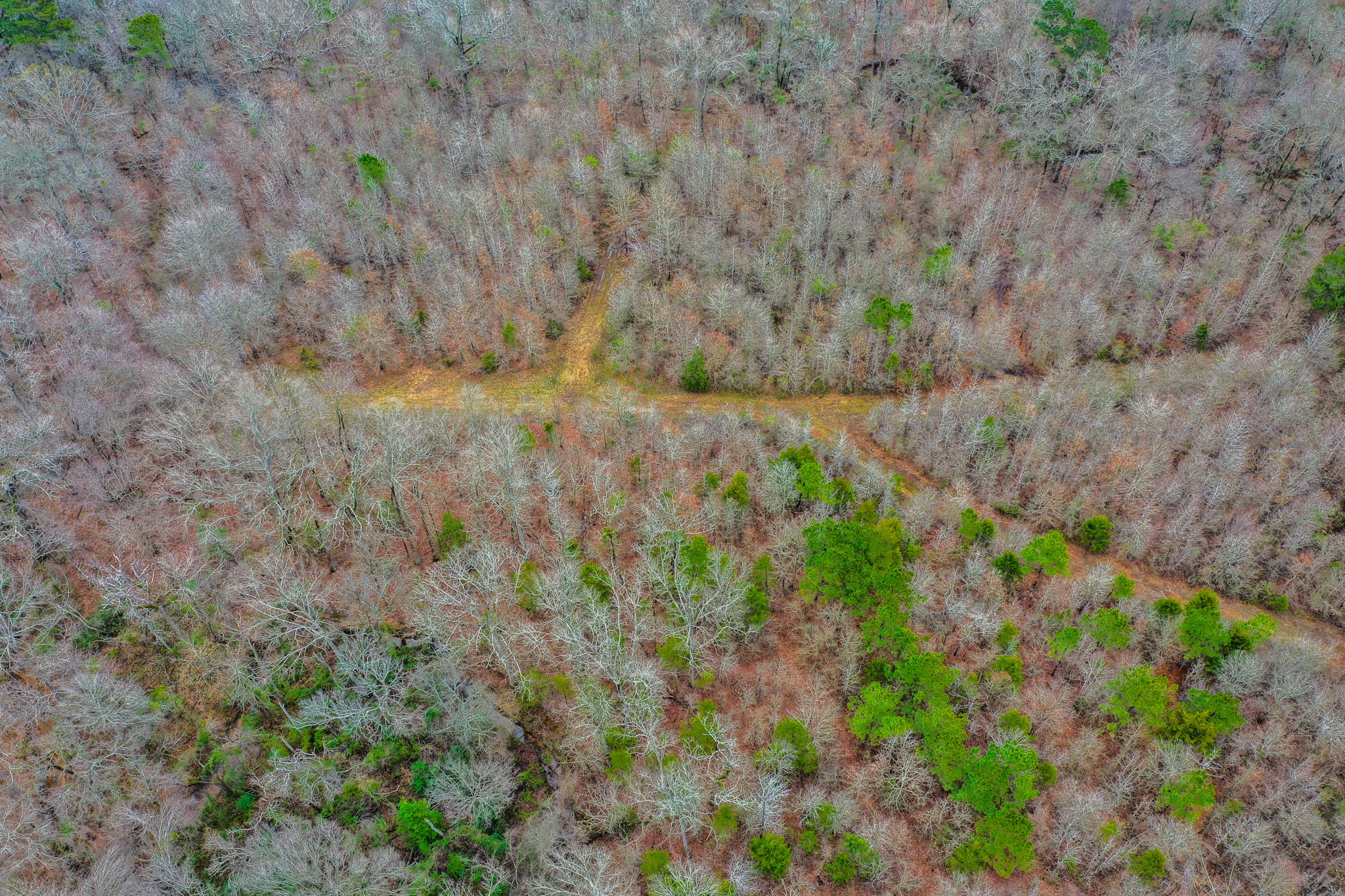Tbd Mistletoe Road Gilmer TX 75644